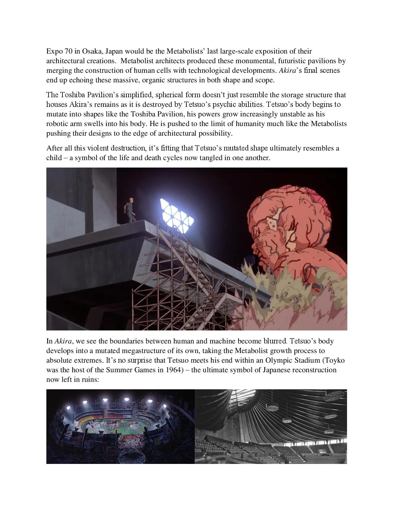 akria essay-page-006.jpg