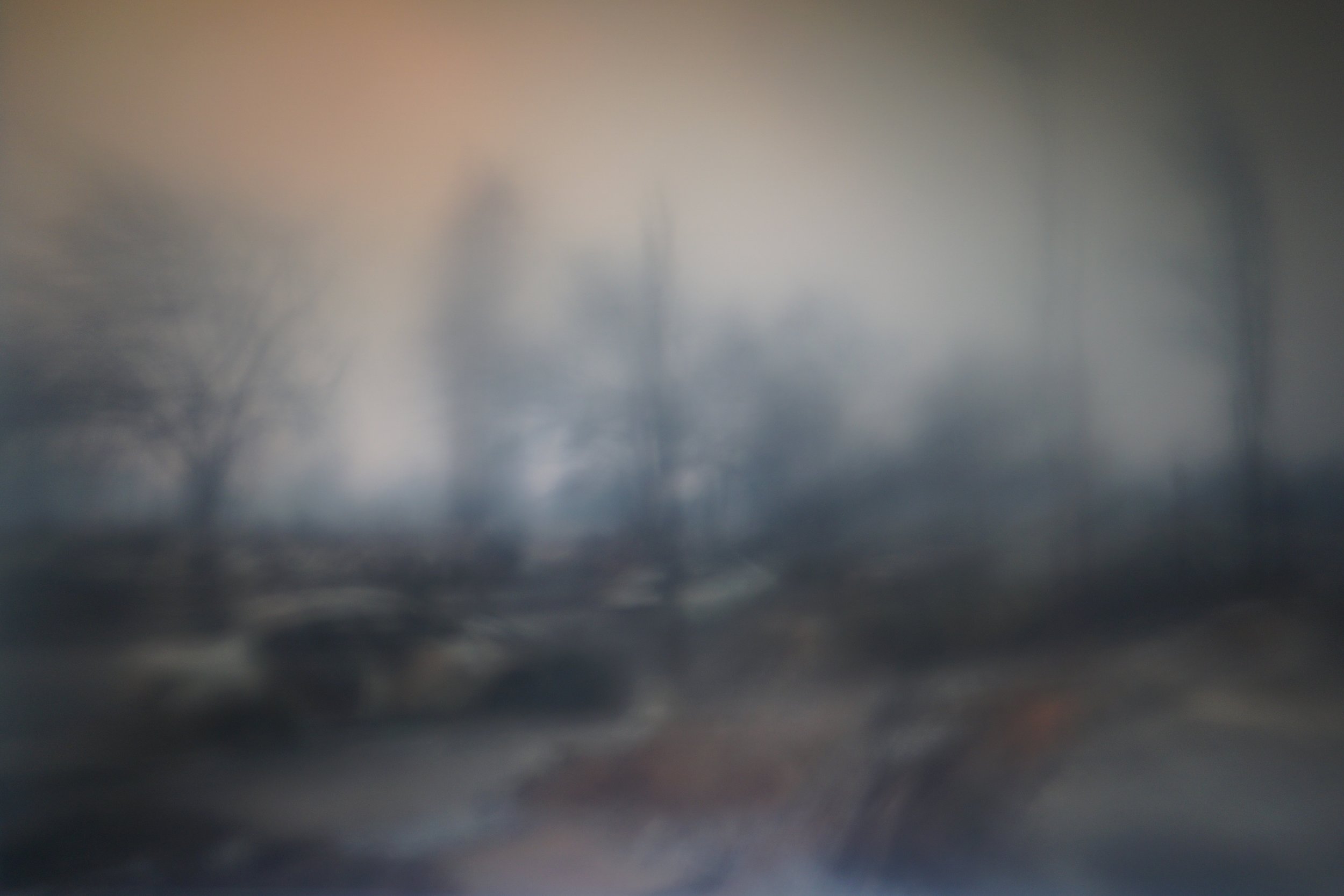 PicturingSantaRosa3.jpg