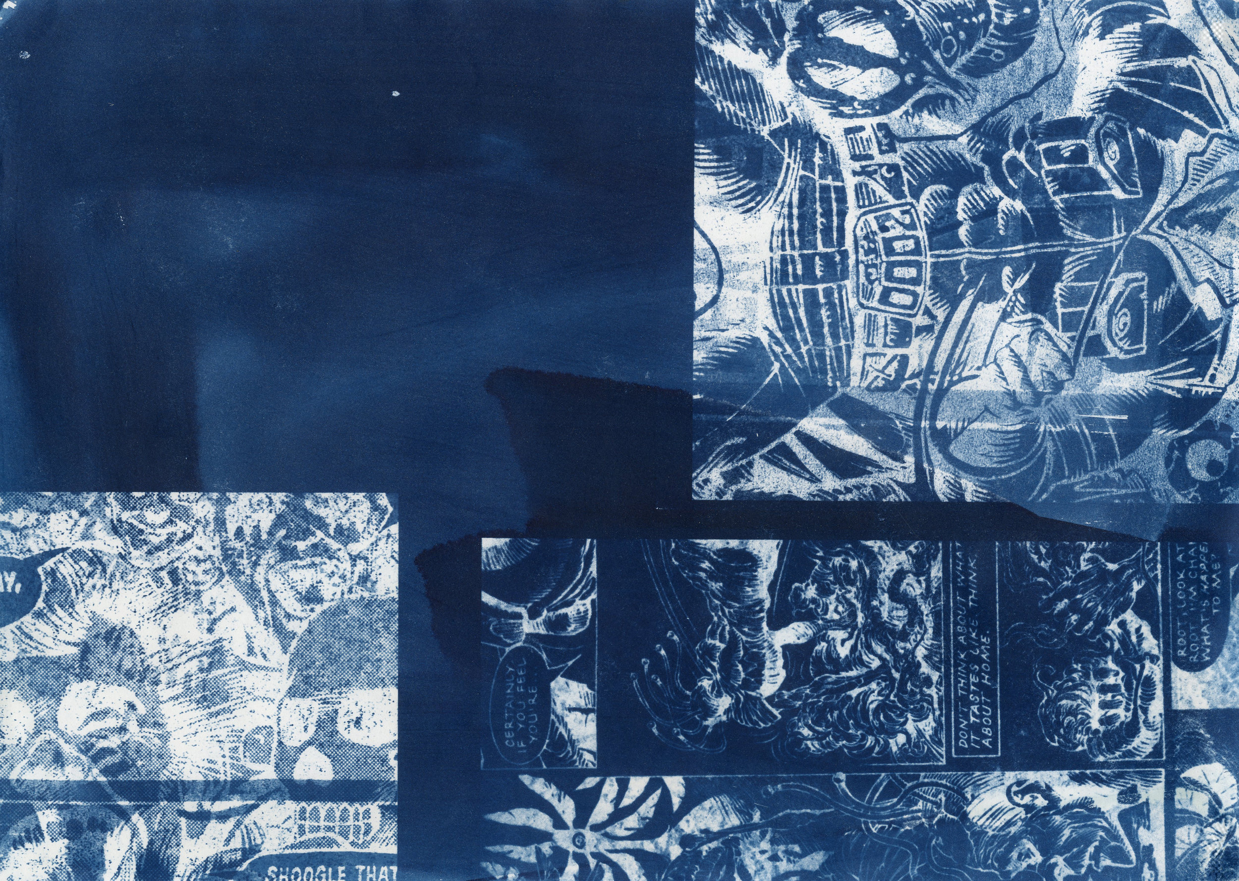 cyanotype 1003 copy.jpg