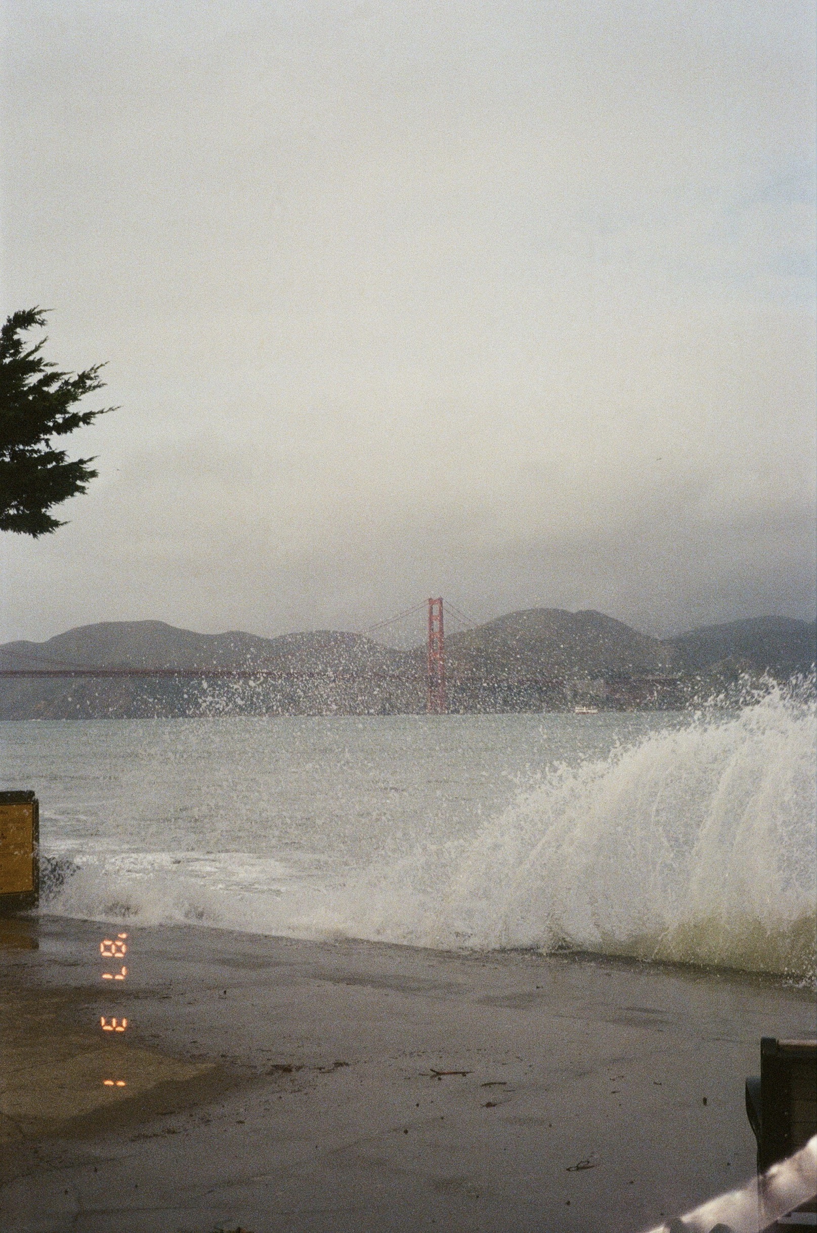 Photograph by Calvin Liang