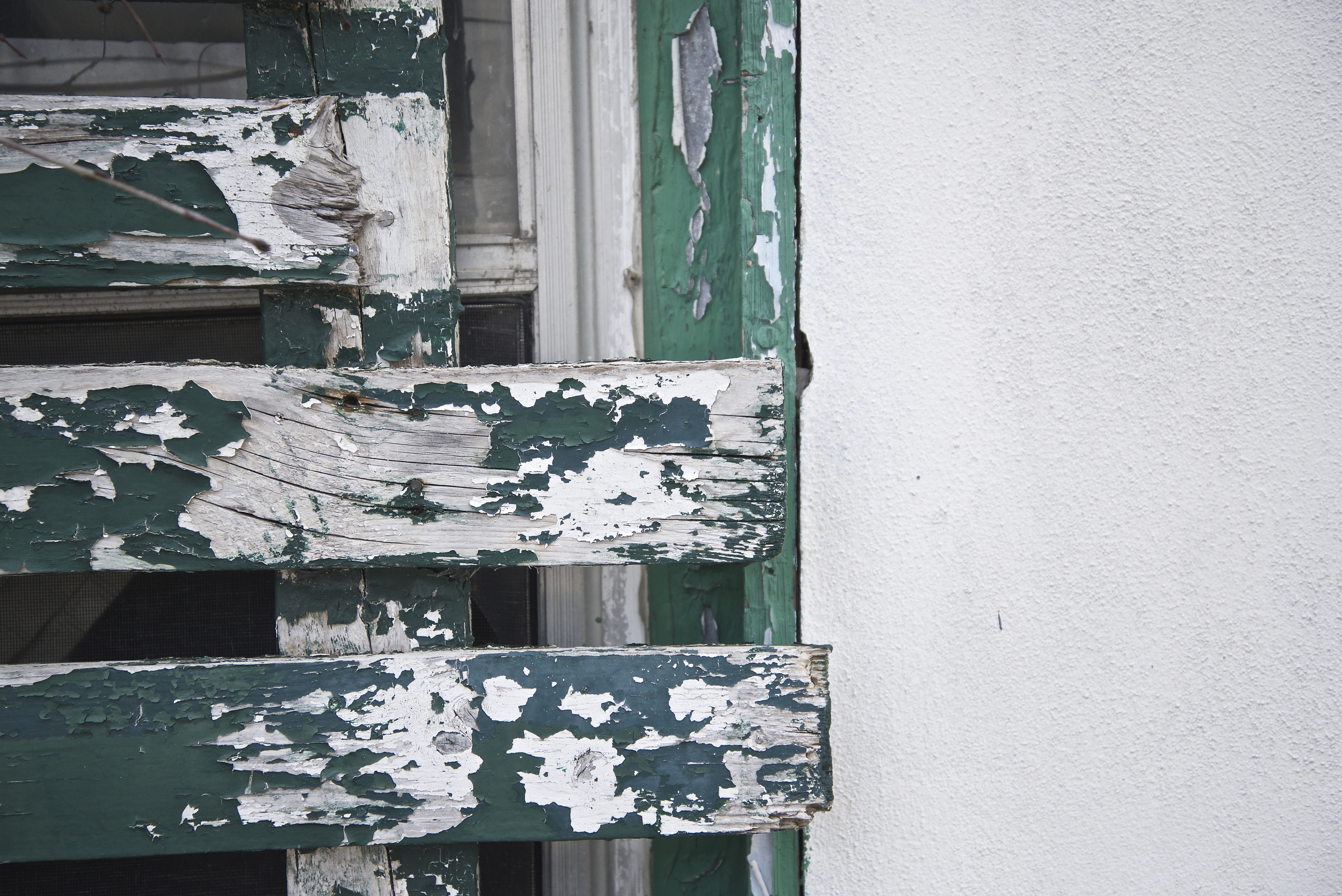 The green shutters on this house are in need of a new coat of paint...but the green is what caught my eye.