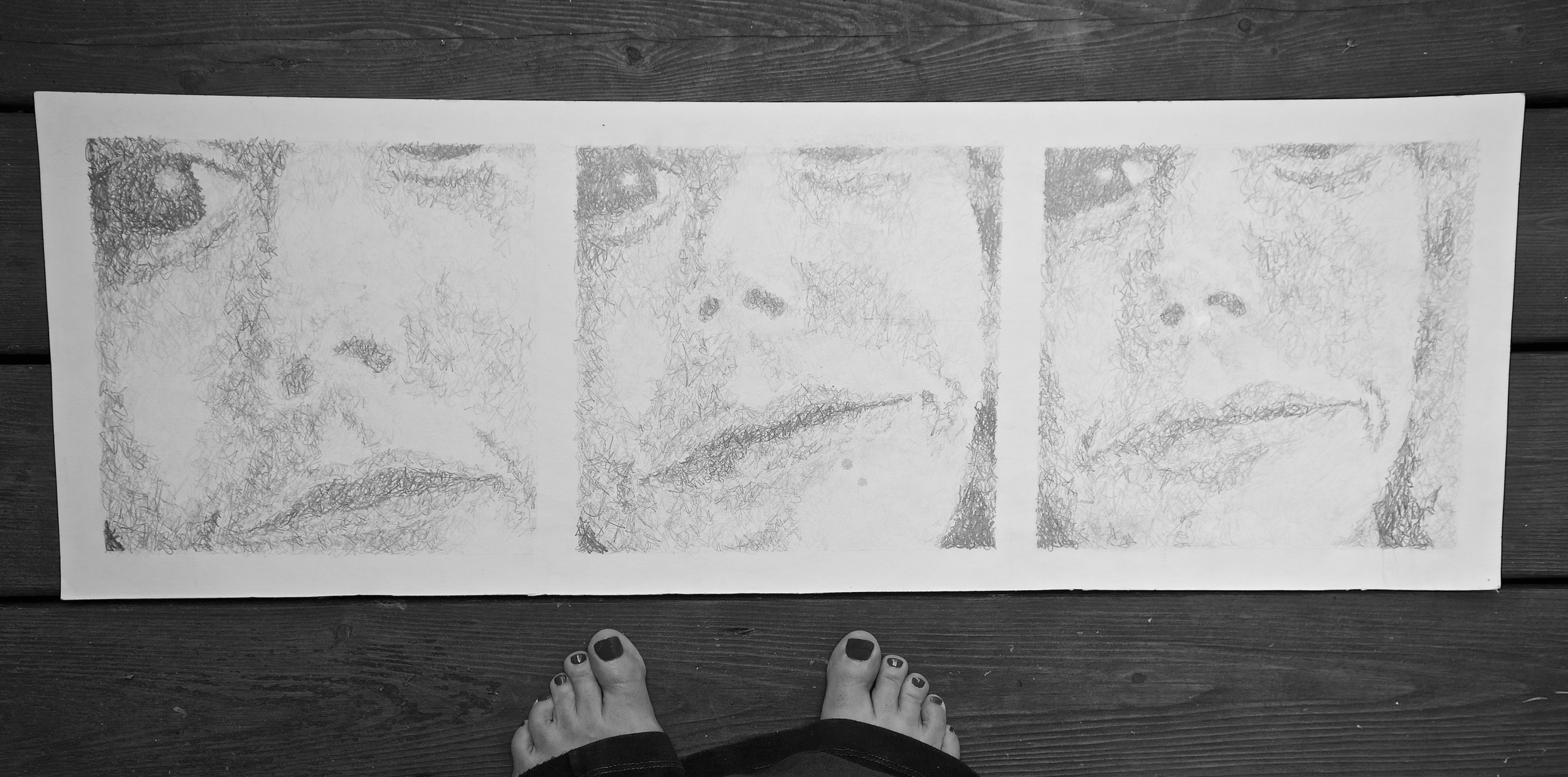 This assignment was a self portrait. This is one of a triptych. The first focuses on the eyes. The second on my eyes and nose, and lastly my entire face. I remember that I did quite well on this even though I did the entire assignment the day before it was due. To be twenty again!