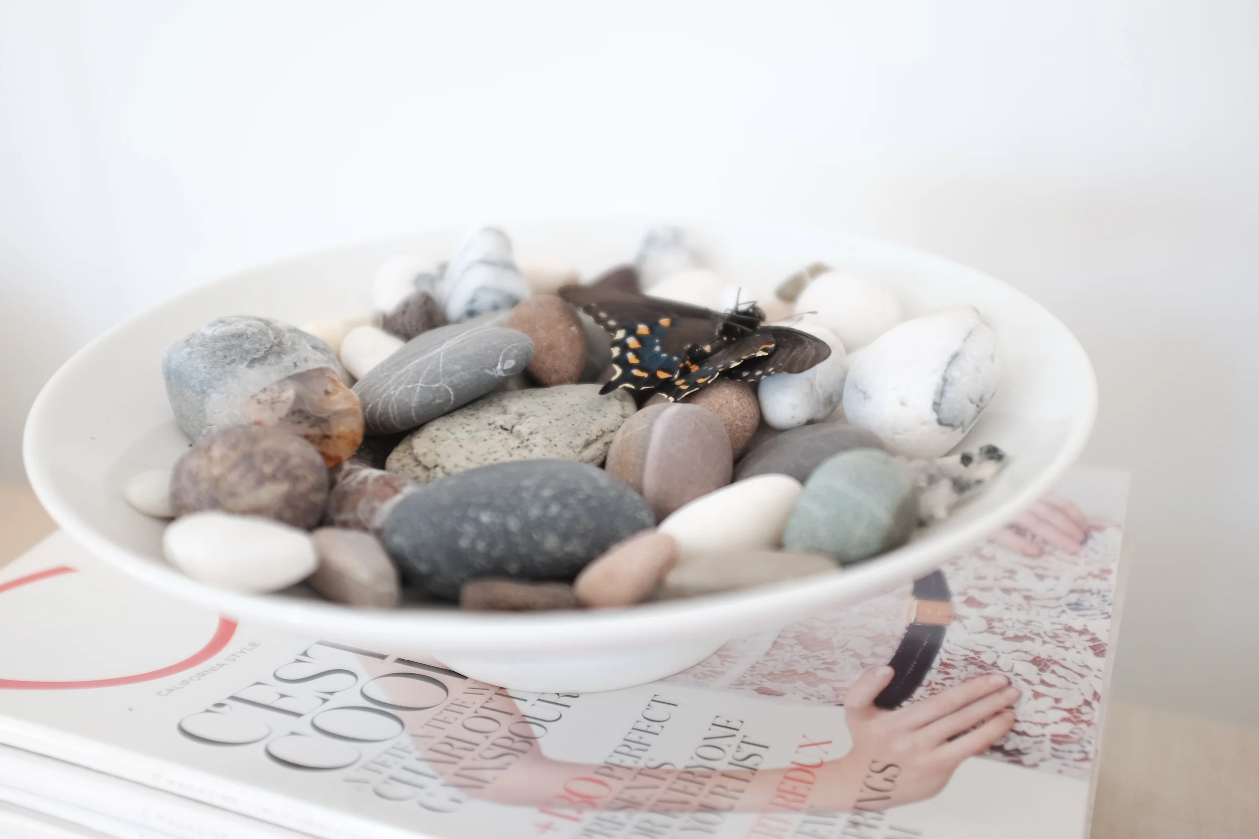 Bringing natural elements into your home is an easy and inexpensive way to add texture.