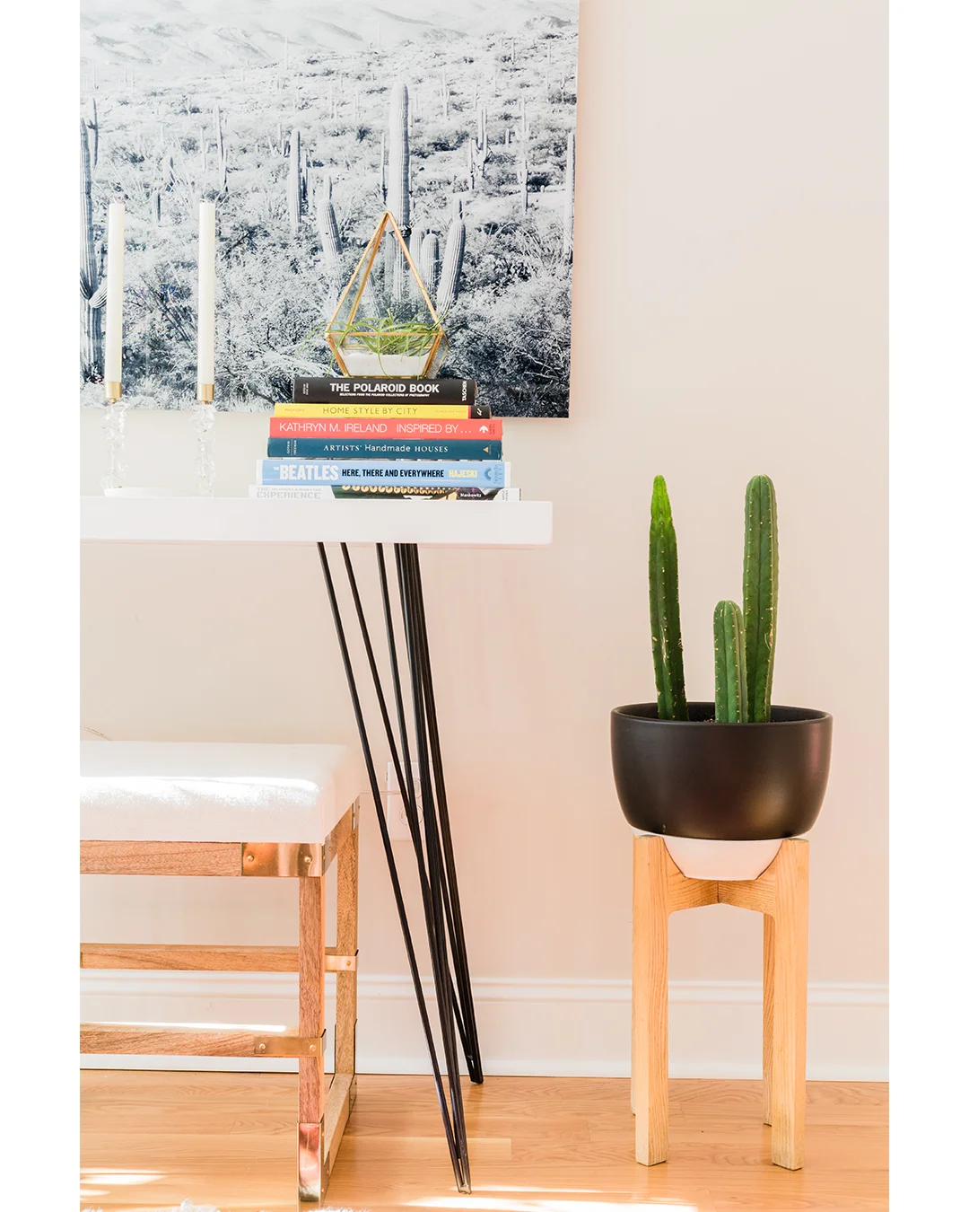 I love how Lauren has incorporated plants into the vignettes throughout her home. They really are an inexpensive element that adds a lot of character.