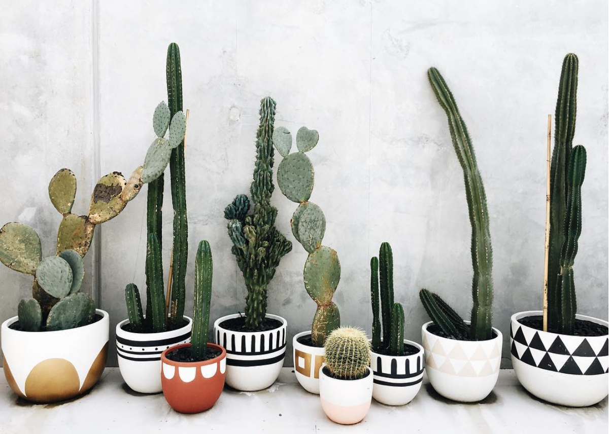 These planters are show stoppers, I may have to paint a few!