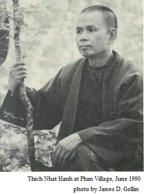 mb4-dharma1.jpg
