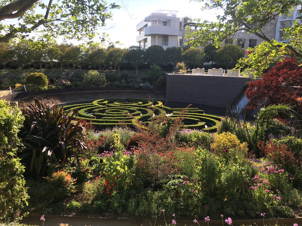  Not pictured in the Getty garden is a little duck who swims throughout the maze. 