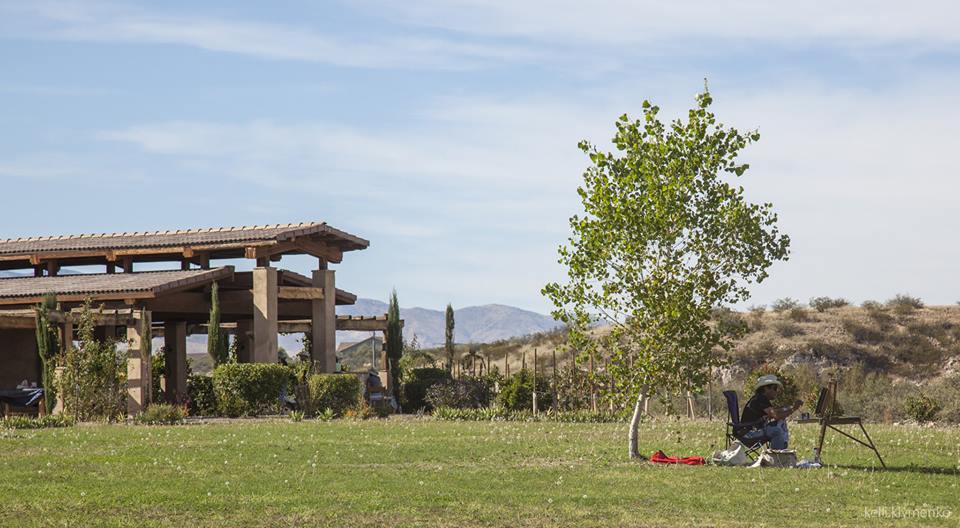 Sedona Plein Air Festival, Wine and Art 2014