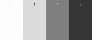 This useful '4 Value Bar' helps me to evaluate the overall light and shadow families in my subject matter