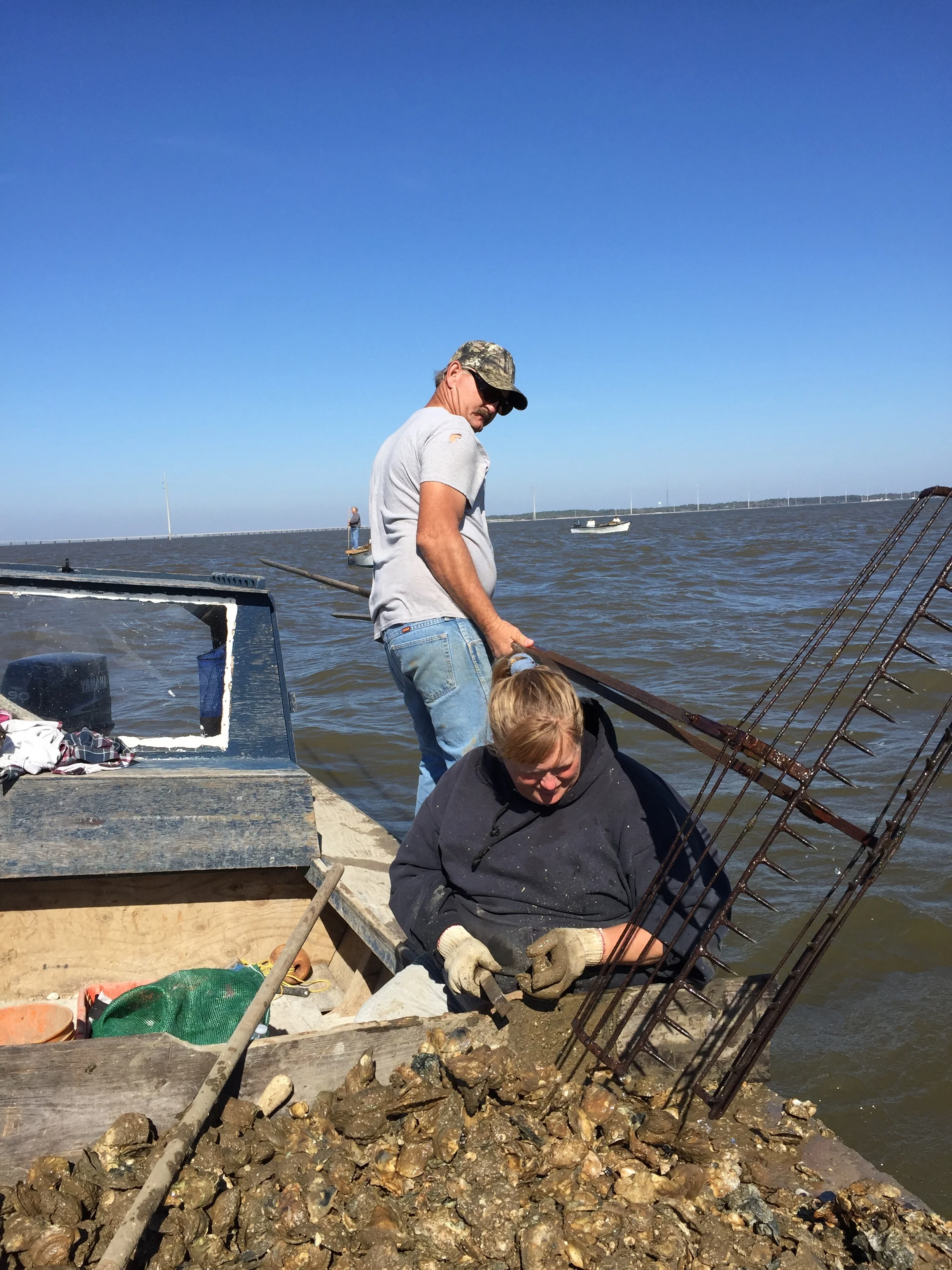 A day with Eugene and Delene on their oyster boat.