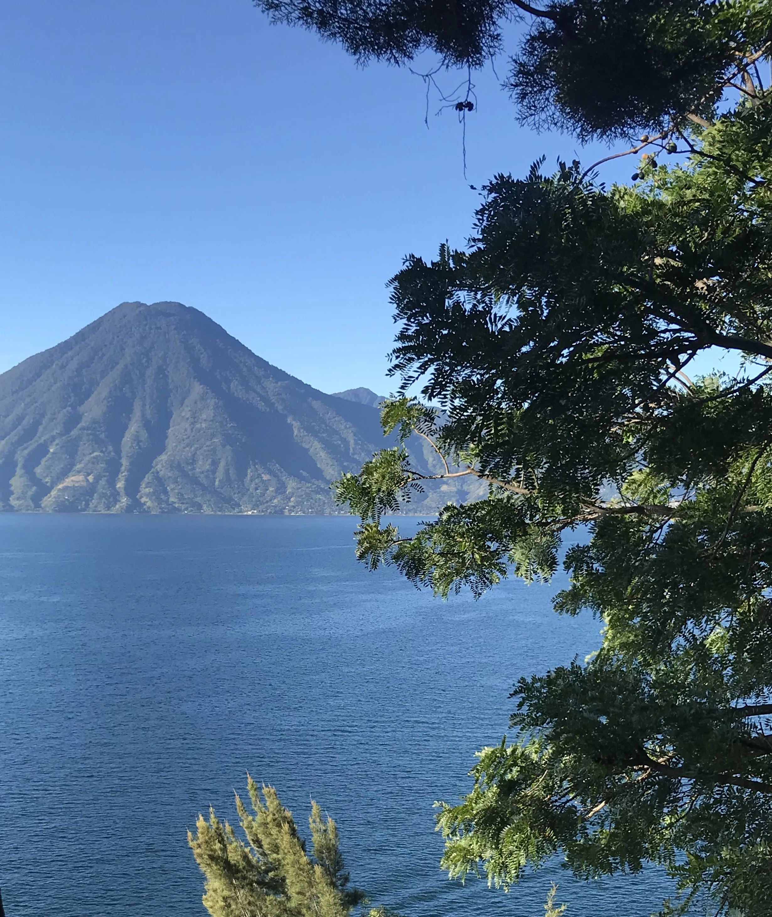 View from my room at Casa de Mundo