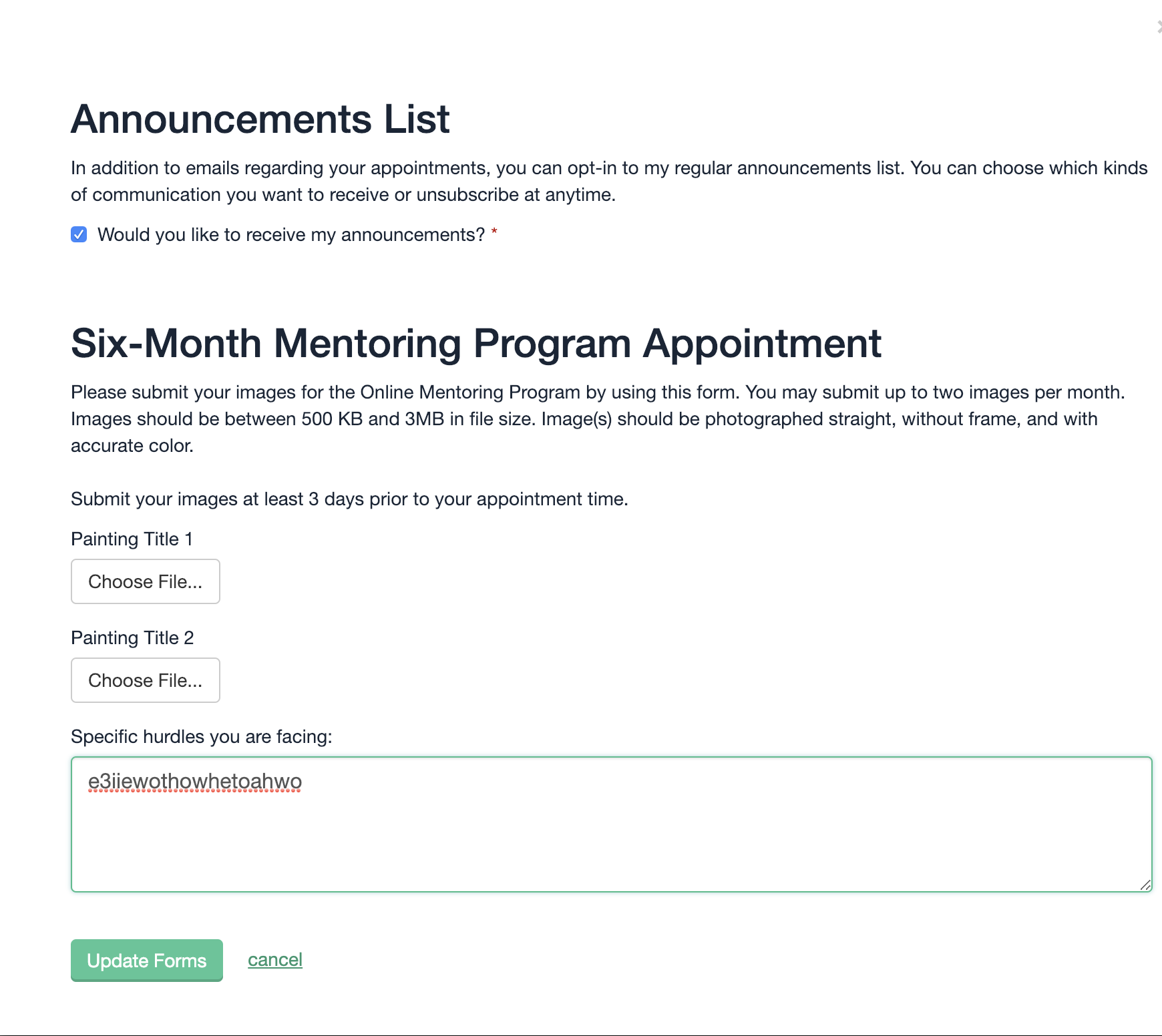 mentoringshoteditforms4.png