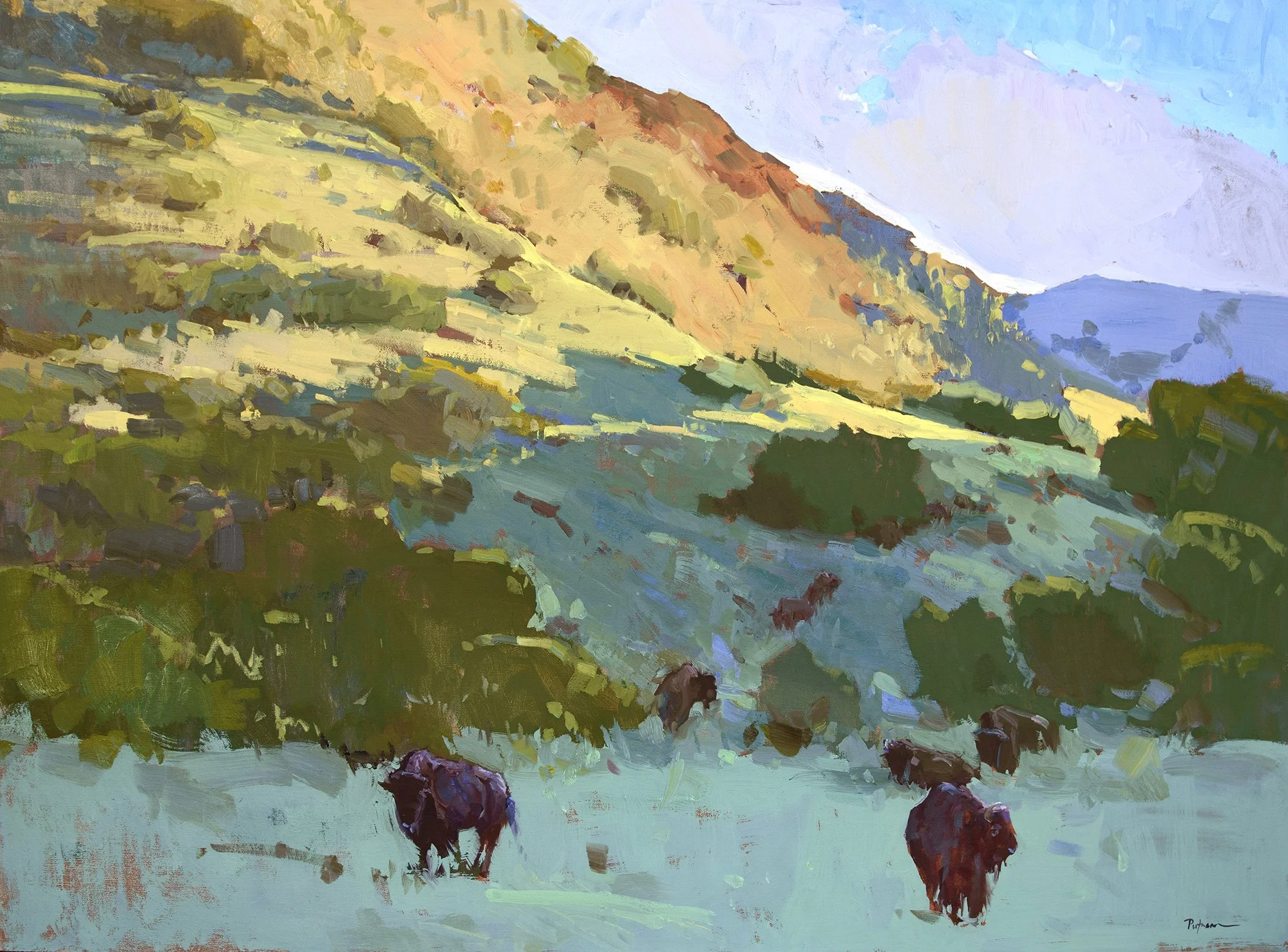 Where the Bison Roam, 30x40, oil. Sold