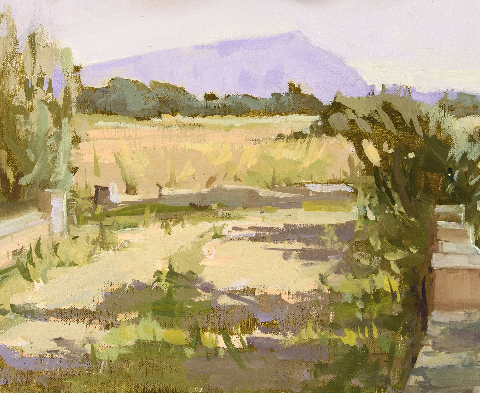ViewfromSalinara10x12cLoriPutnam2026_2000.jpg