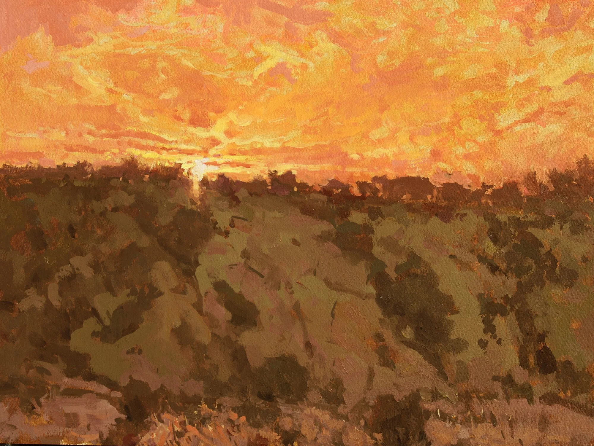 Cloud Glow, 18x24, oil, $5900. Click to inquire