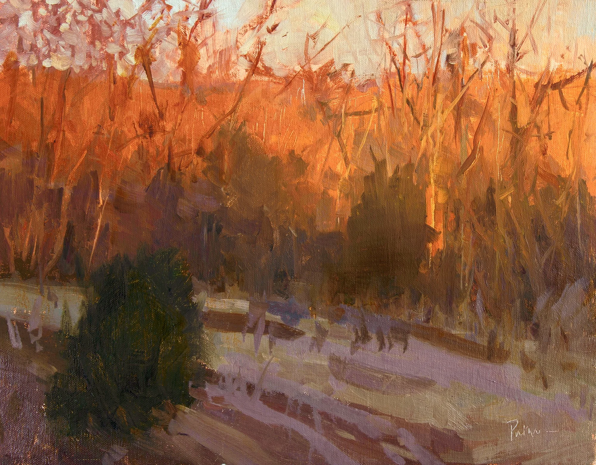 January Sunset