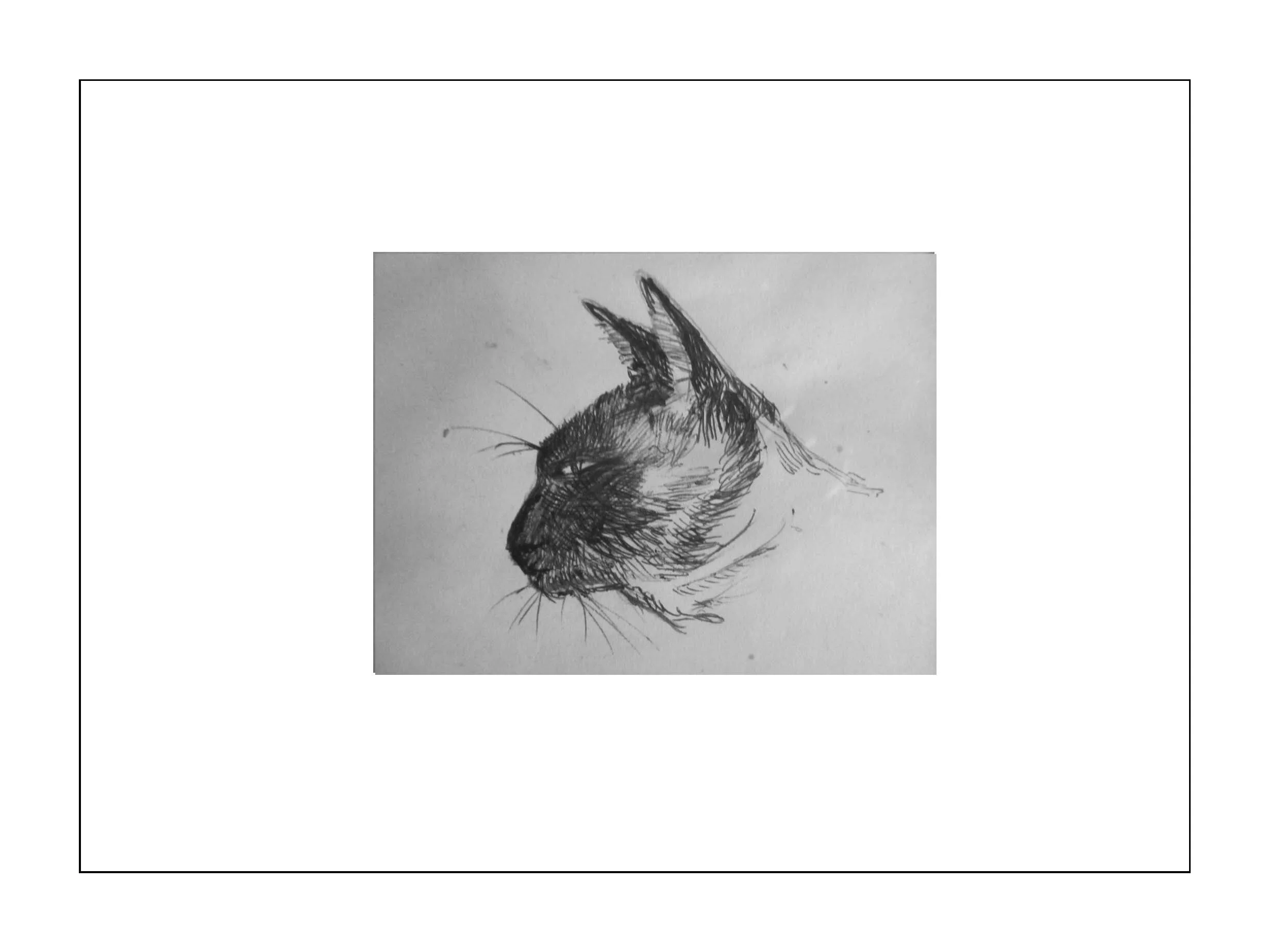 001 - Sam, pen & ink.jpg