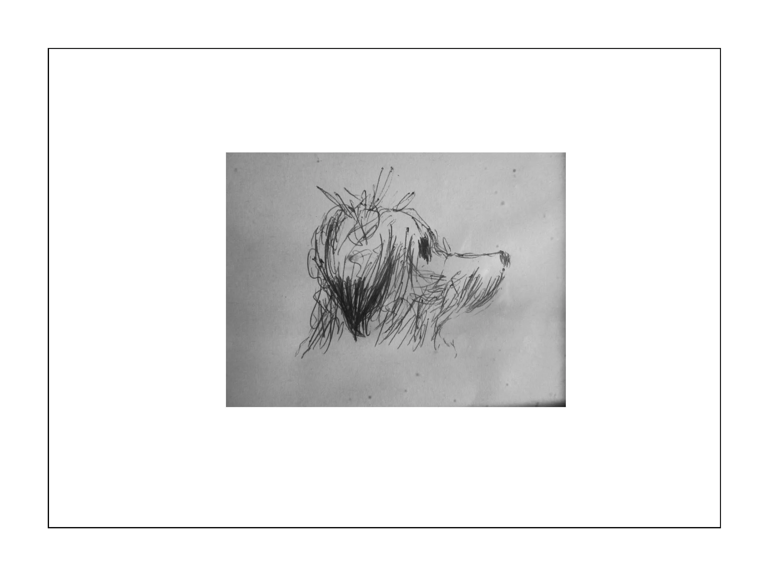 003 - Perline, pen & ink.jpg