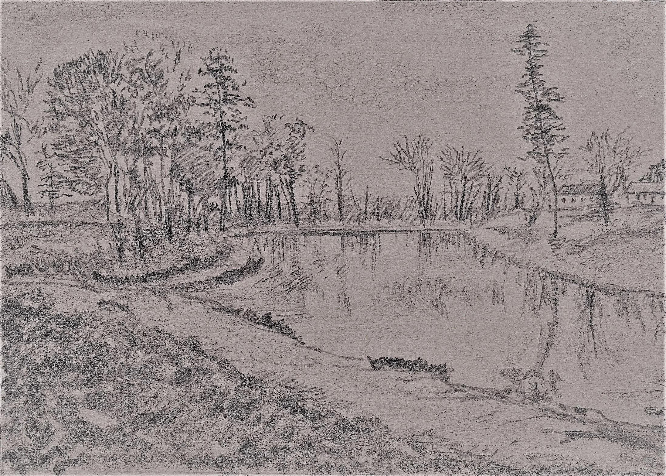 121 - Ridgecrest Pond, University of Alabama, pencil.jpeg