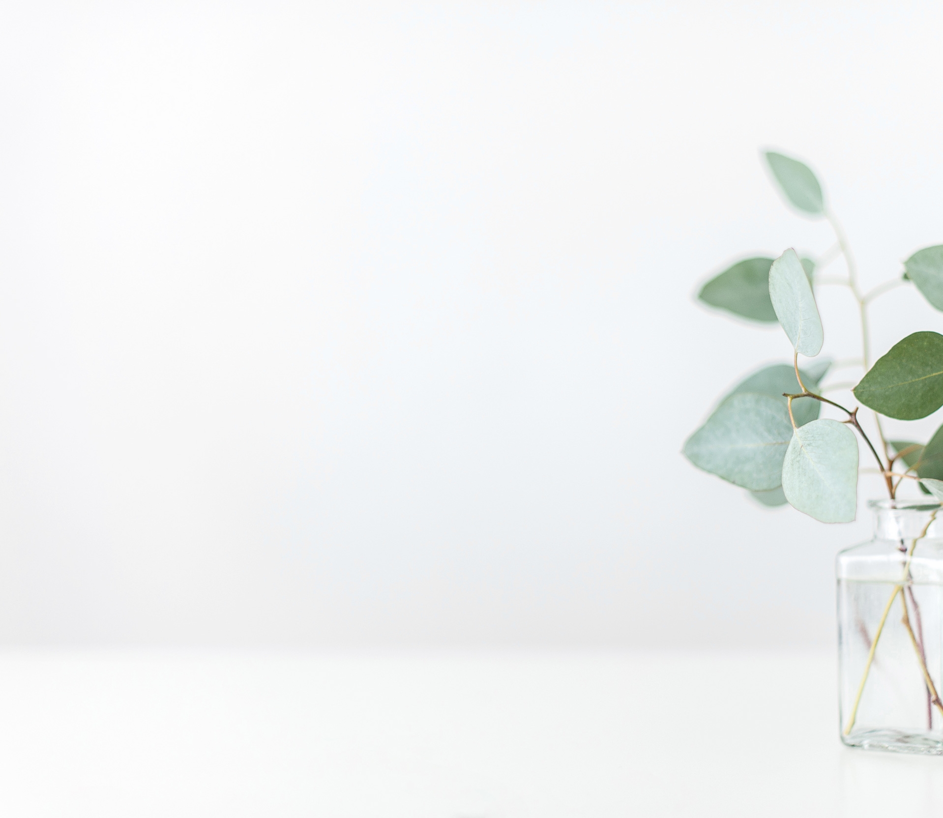 about-banner.jpg