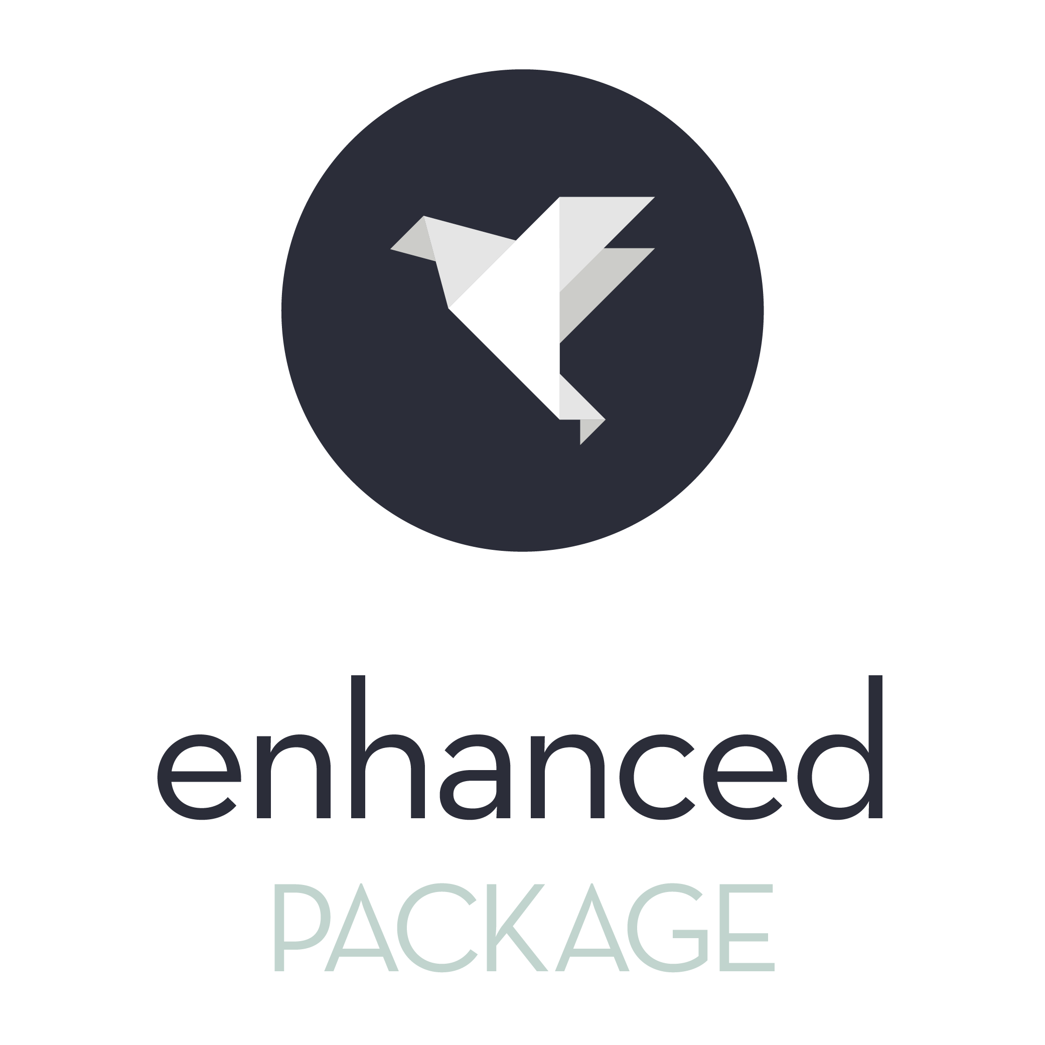 Enhanced_Package_Icon.png