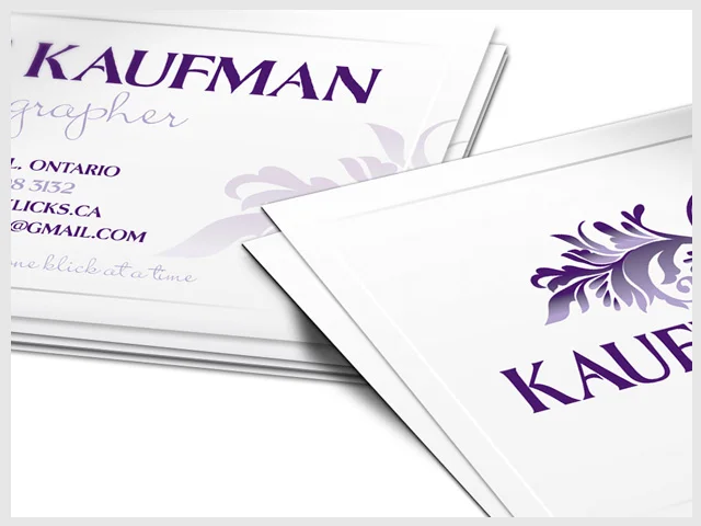 Kaufman_Banner.jpg