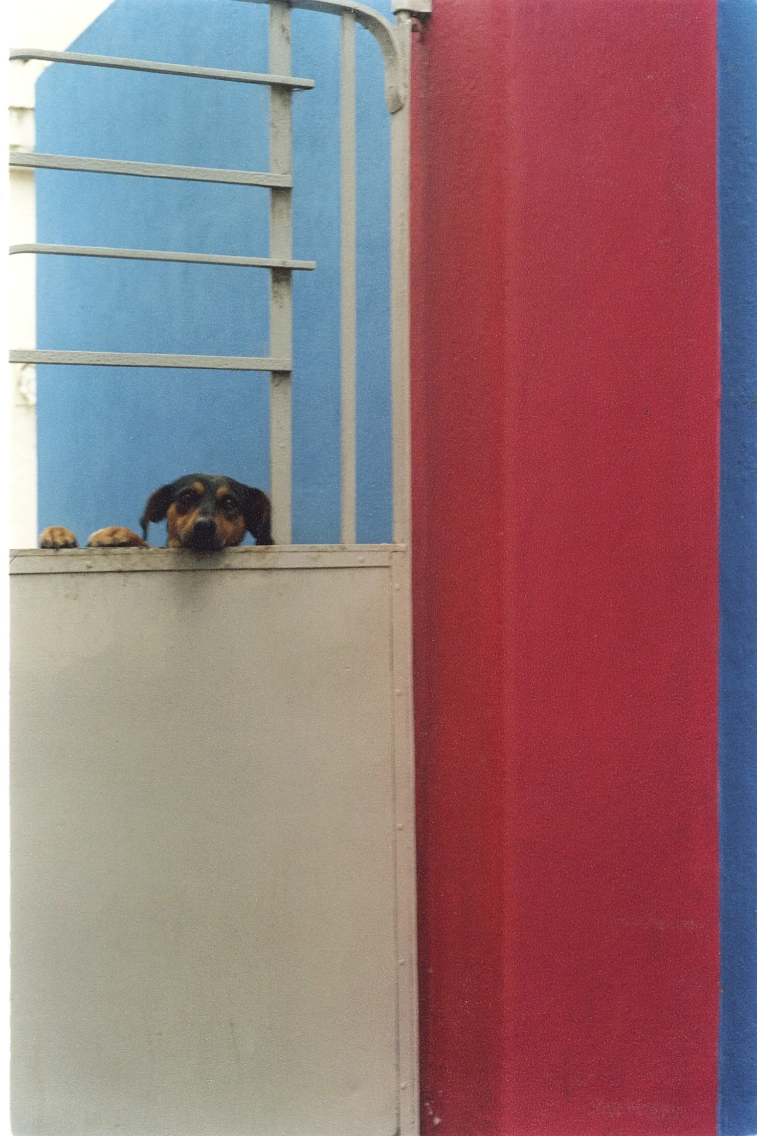 Colonia, 2006