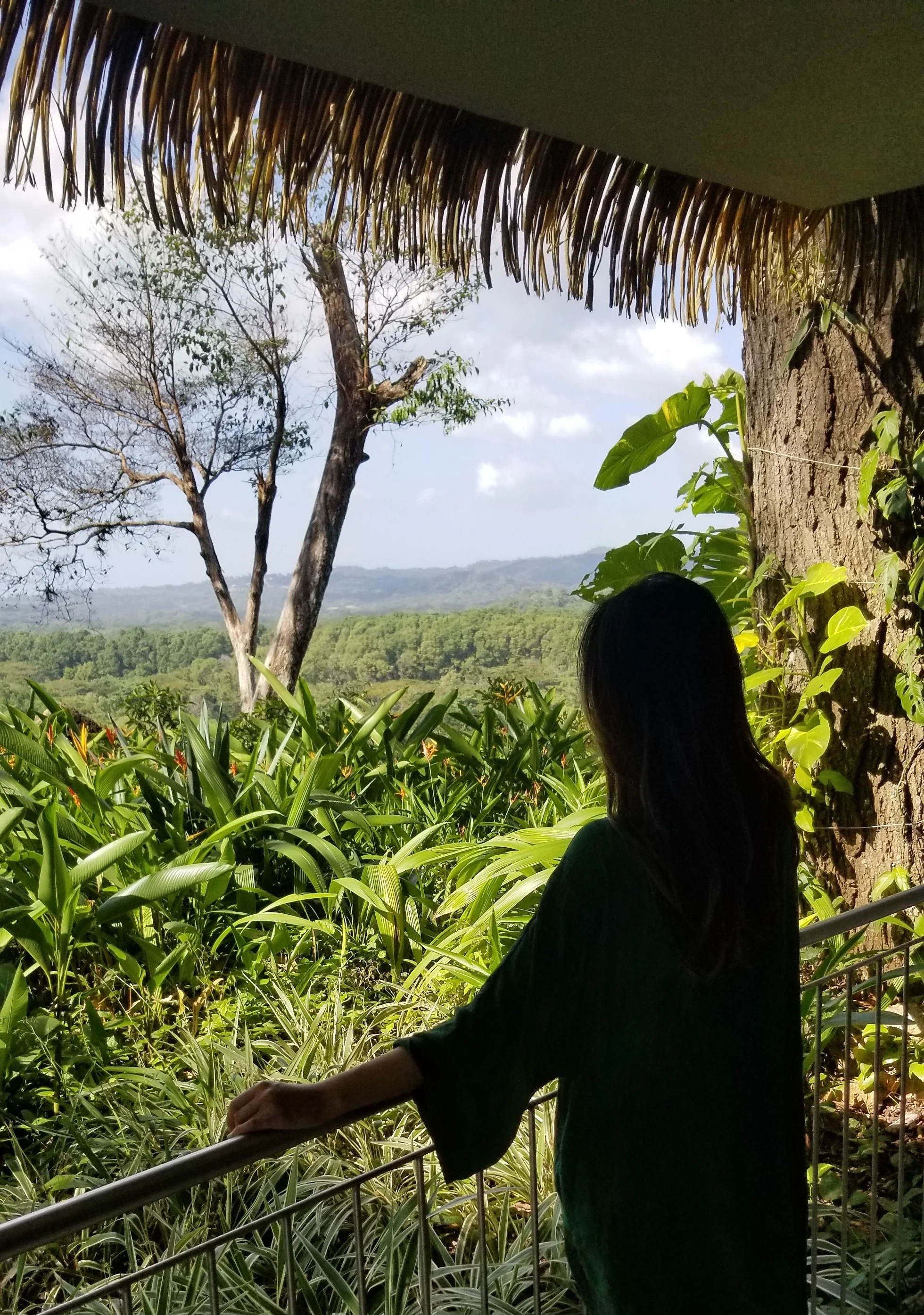 20181216_134629.jpg