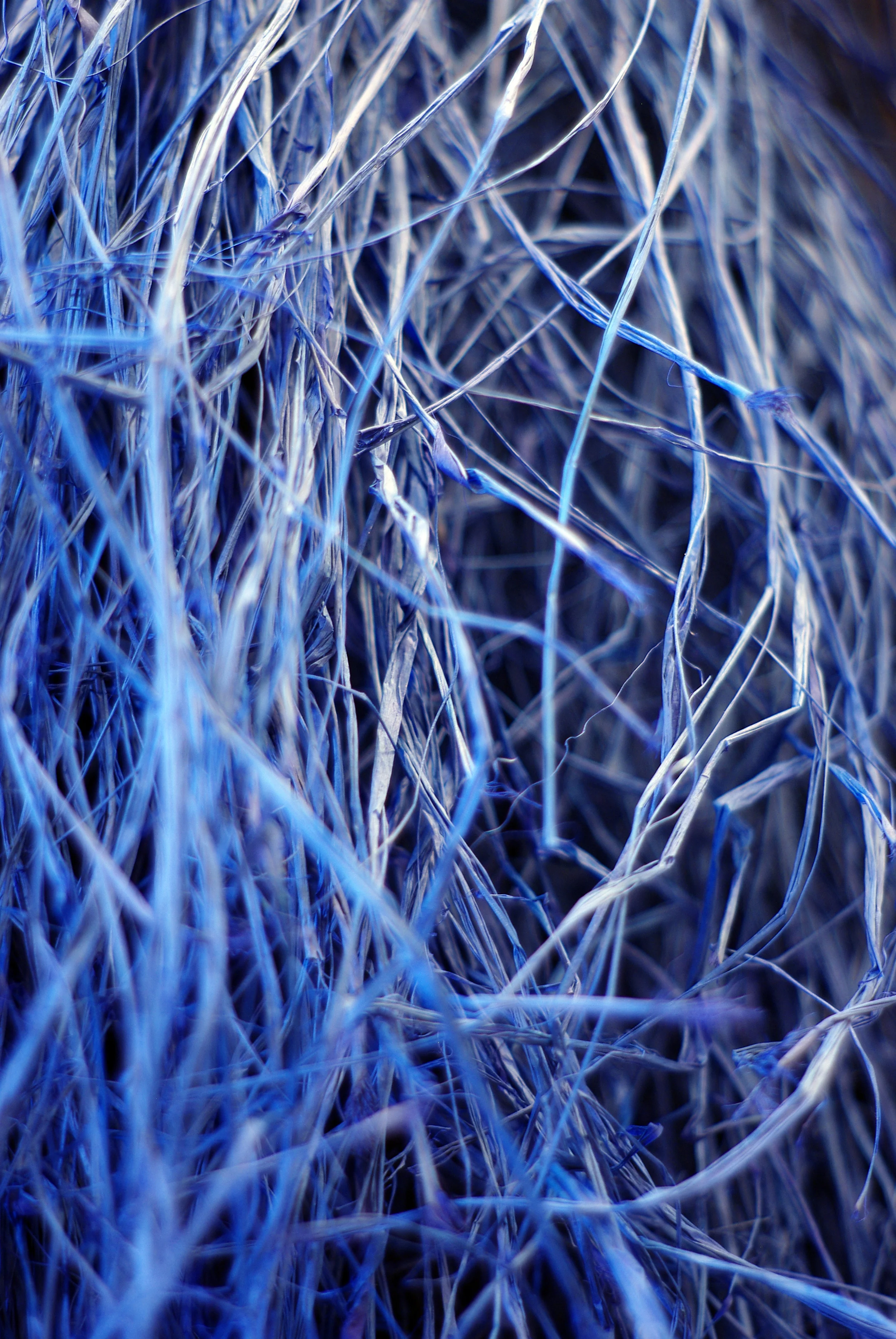 Vom Fass- Waverly Place