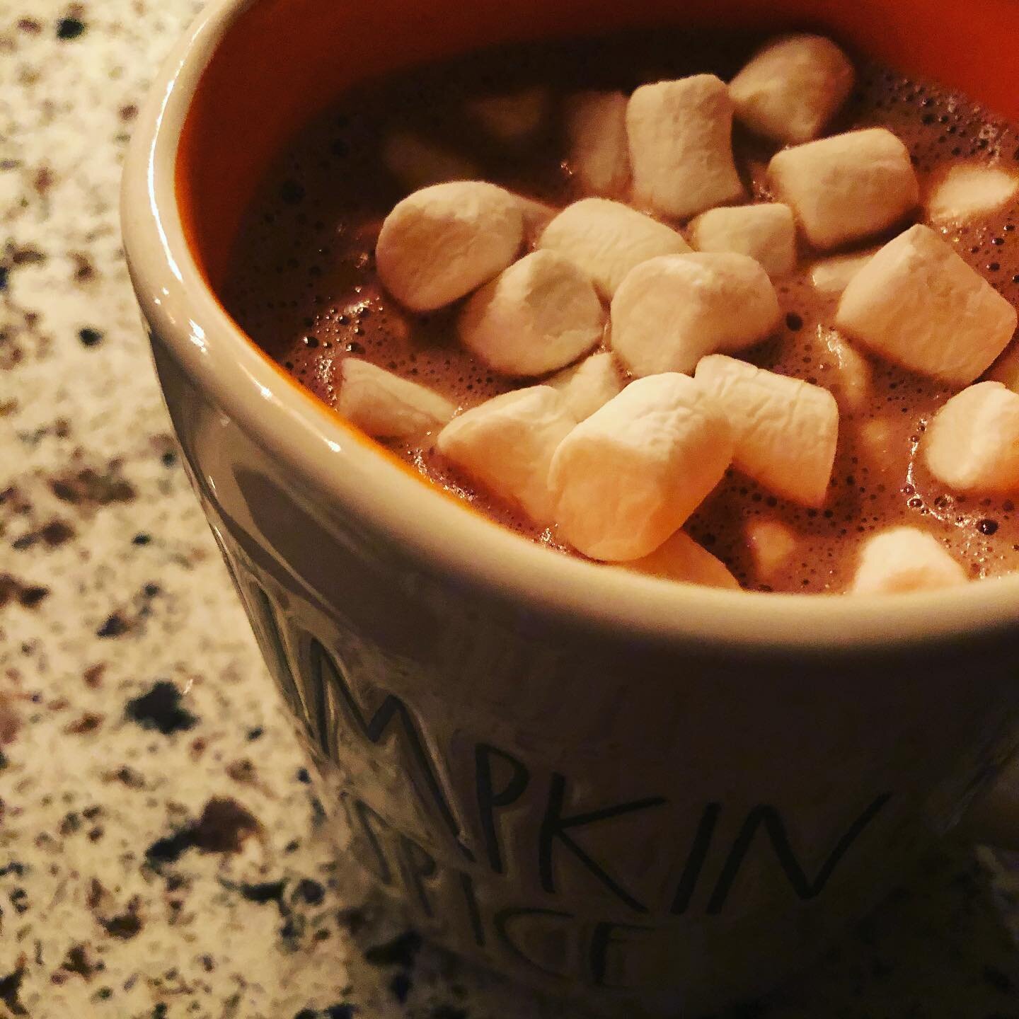 Labor Day has never had such a big Summer-Is-Over-Vibe than it does right now at 64&deg; and with a big mug of pumpkin hot cocoa. #cozy #hotchocolate #koshermarshmallows #pumpkinspice #chilly