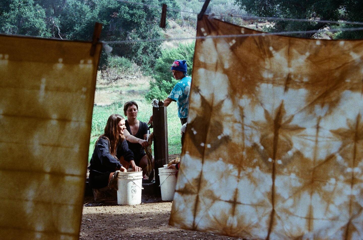 Save the date: the next Plant Dye Retreat will take place on the first weekend of spring, just after the equinox, March 22-24 in the Santa Ynez Mountains north of Ojai. ⛰️✨

We&rsquo;ll camp for two nights in the glorious shelter of an oak woodland, 