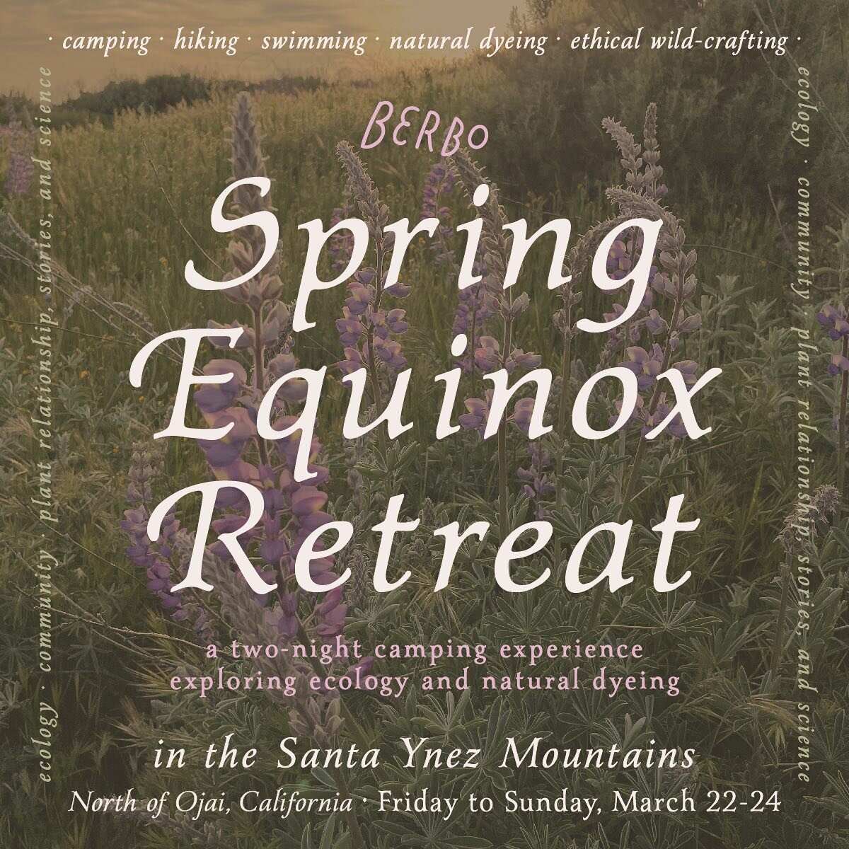 Join me on the first weekend of spring, March 22-24, for two nights of camping in the shelter of an oak grove beside a rambling creek in the beautiful Santa Ynez Mountains north of Ojai.

We&rsquo;ll welcome the change of season among burgeoning, vib