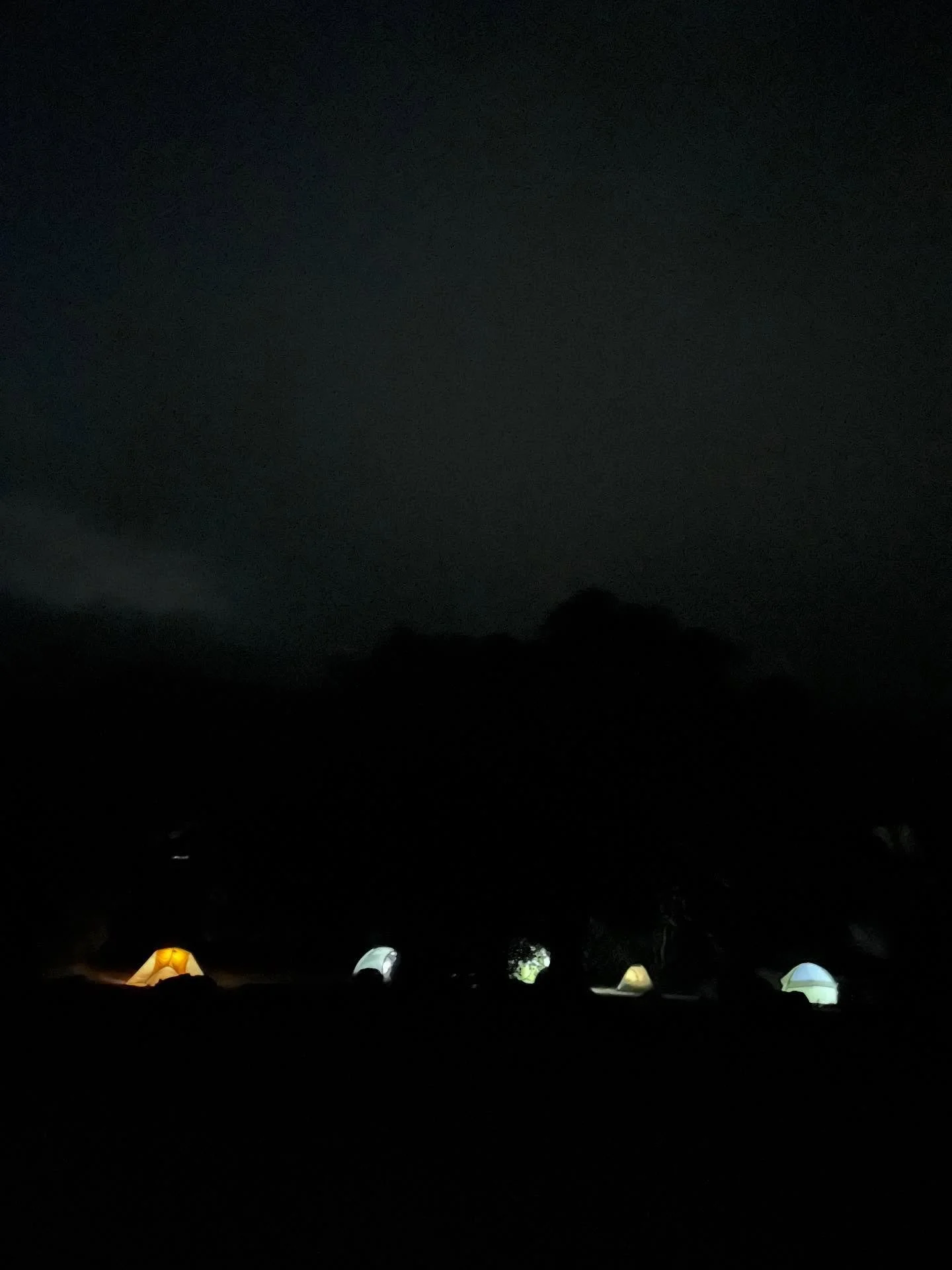 Happy Equinox! What a joy to welcome fall in community this past weekend, on a retreat in the Santa Ynez Mountains above Santa Barbara. 

Together we camped, hiked, swam, built fires, brewed dyes, watched shooting stars and swooping ospreys&mdash;and