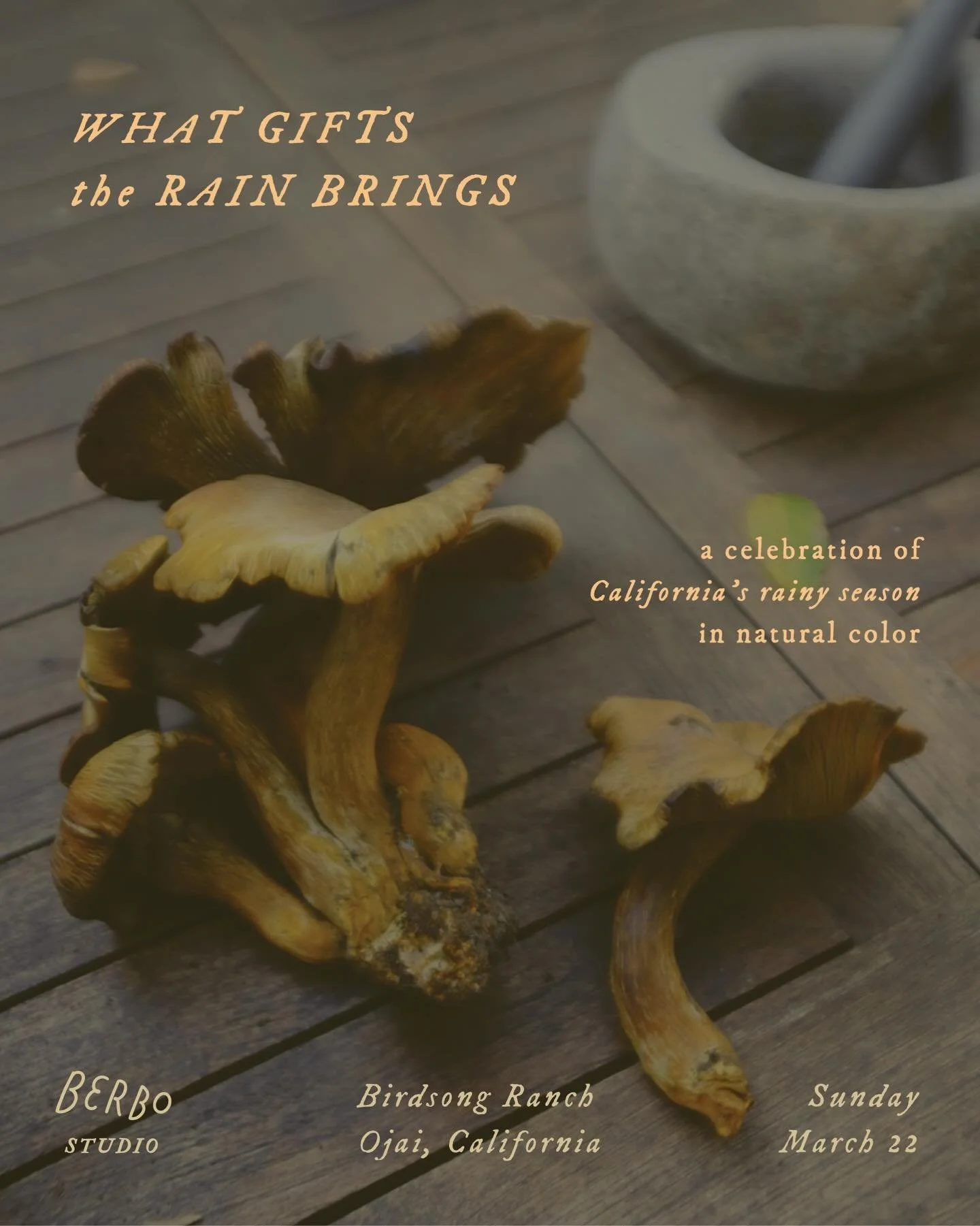The river is flowing full and clear, and mushrooms and herbs spring from the damp woodland floor. Rain falls, sun follows, and in the mountains and valleys, life in its entire array of color blooms. 

Rain starts a new season in Southern California, 