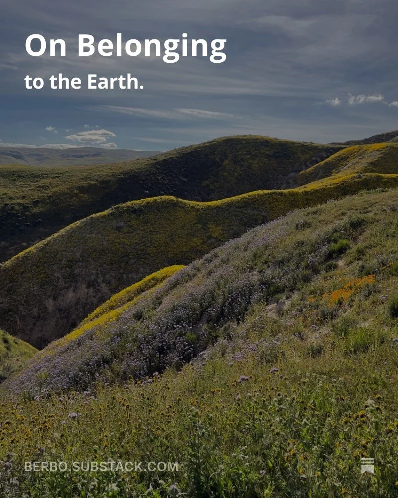 Since the fire, in the absence of everything I&rsquo;ve ever owned, all of my belongings, my home and physical community, and the assurance and comforts which these things provide, I&rsquo;ve had to fight to remind myself who I am at times. Each time