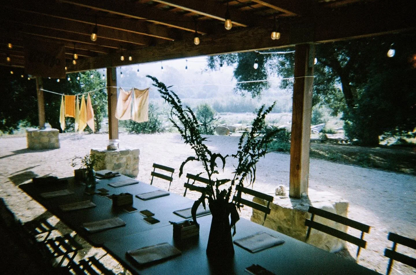 On May 23rd I&rsquo;m teaching a workshop at @californiabotanicgarden on a topic very near and dear to me&mdash;Natural Dyes of the San Gabriel Foothills. 

Between the rugged montane wilderness of the San Gabriel Mountains and the densely populated 