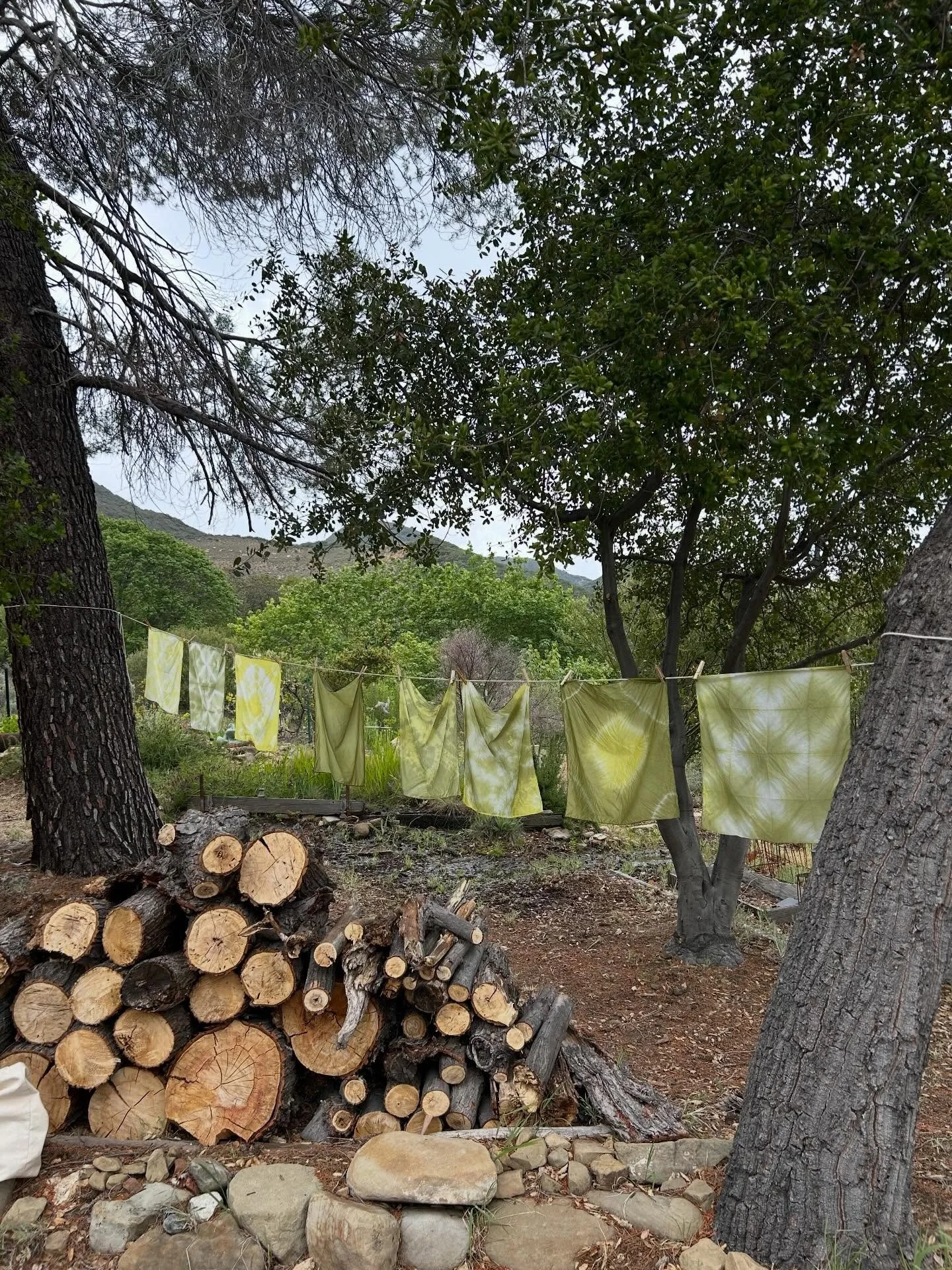 Sagebrush Lovers Club unite! We left beautiful @fesercoldsprings today smelling like sagebrush and campfire, after a day together exploring this ecosystem-defining plant&rsquo;s dye and medicine. 

We explored the science behind sagebrush&rsquo;s sce