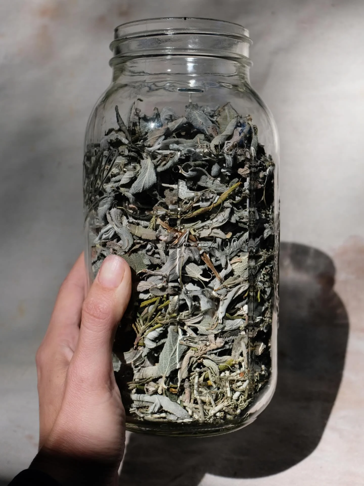 I live my life on salve time now. Full moon: collect the plants. New moon: immerse in oil. Between moons: wait. (And visit bee people at farmer&rsquo;s market for beeswax). Next full moon: day of straining, combining, pouring, rejoicing. Every batch 