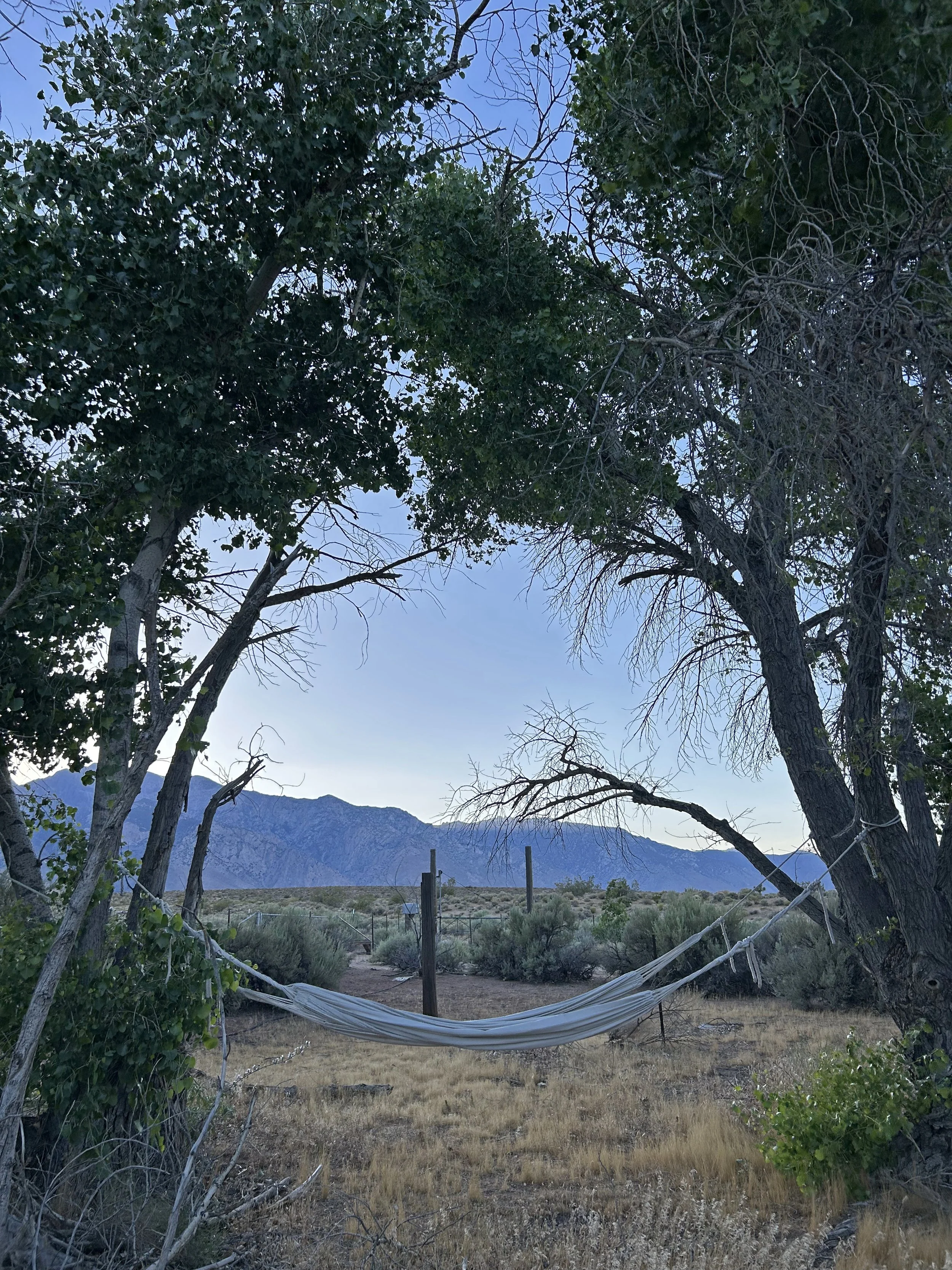 Homestead1.jpg