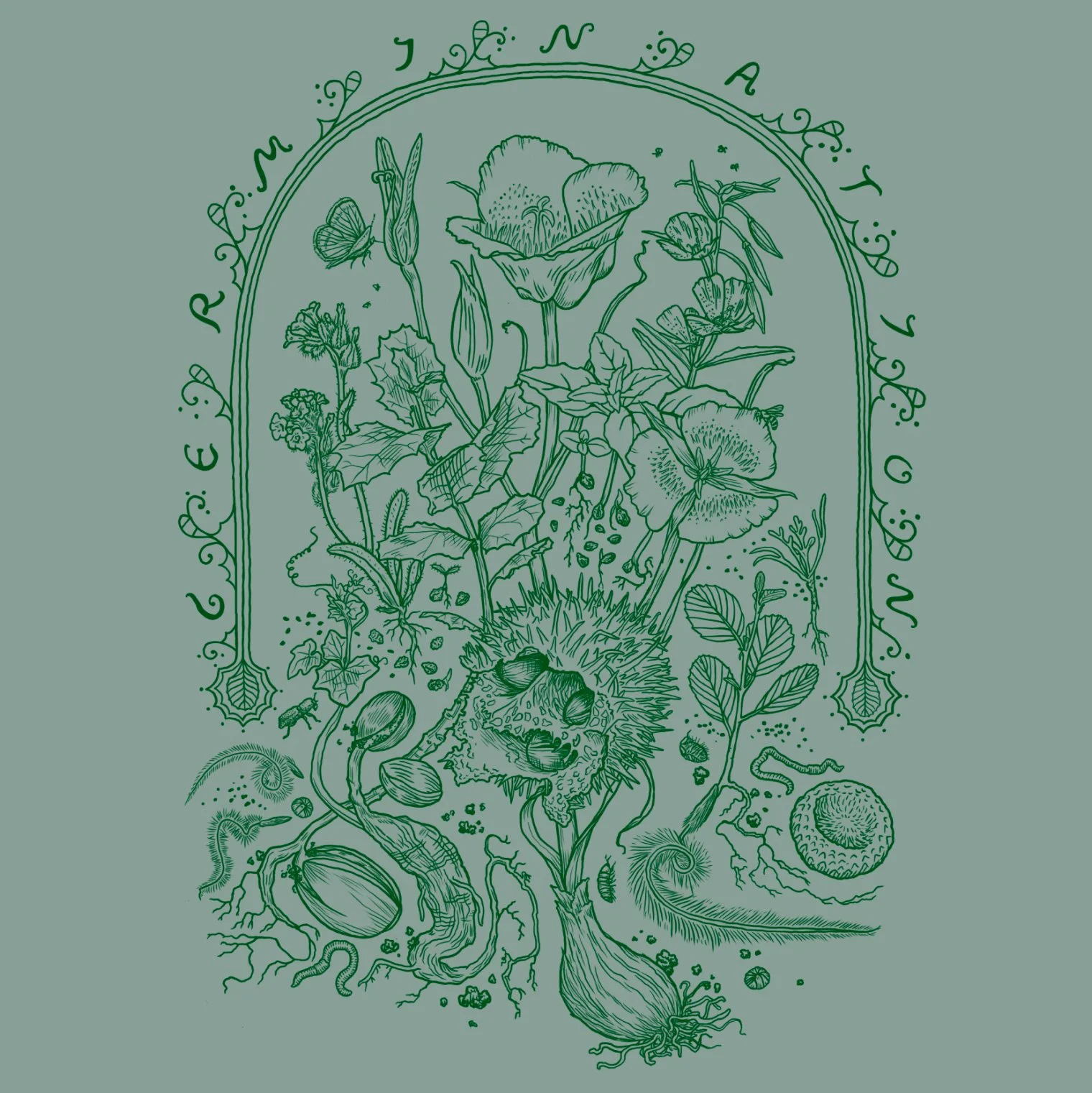 Germination_Illustration_2sq.jpg