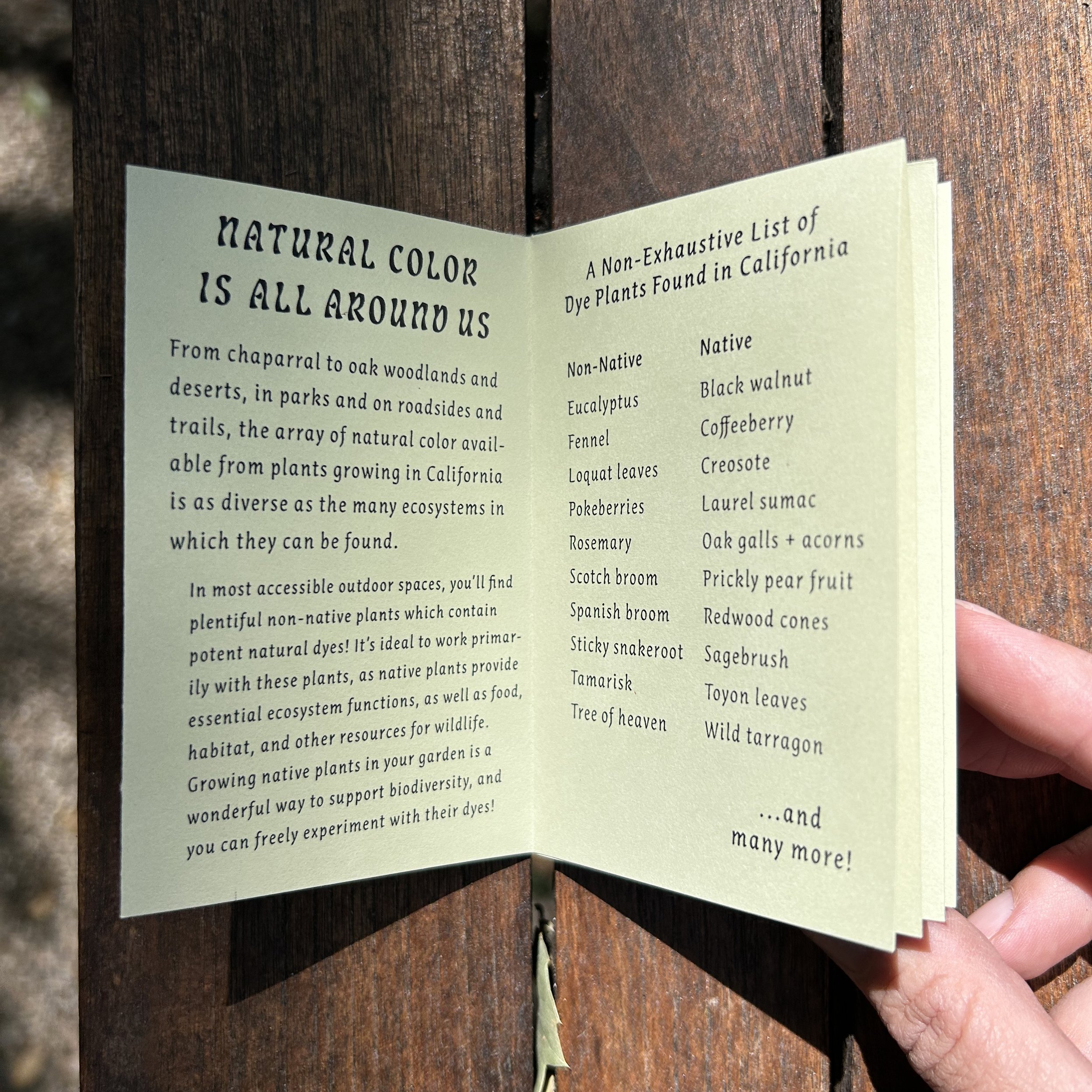 Booklet1.jpg