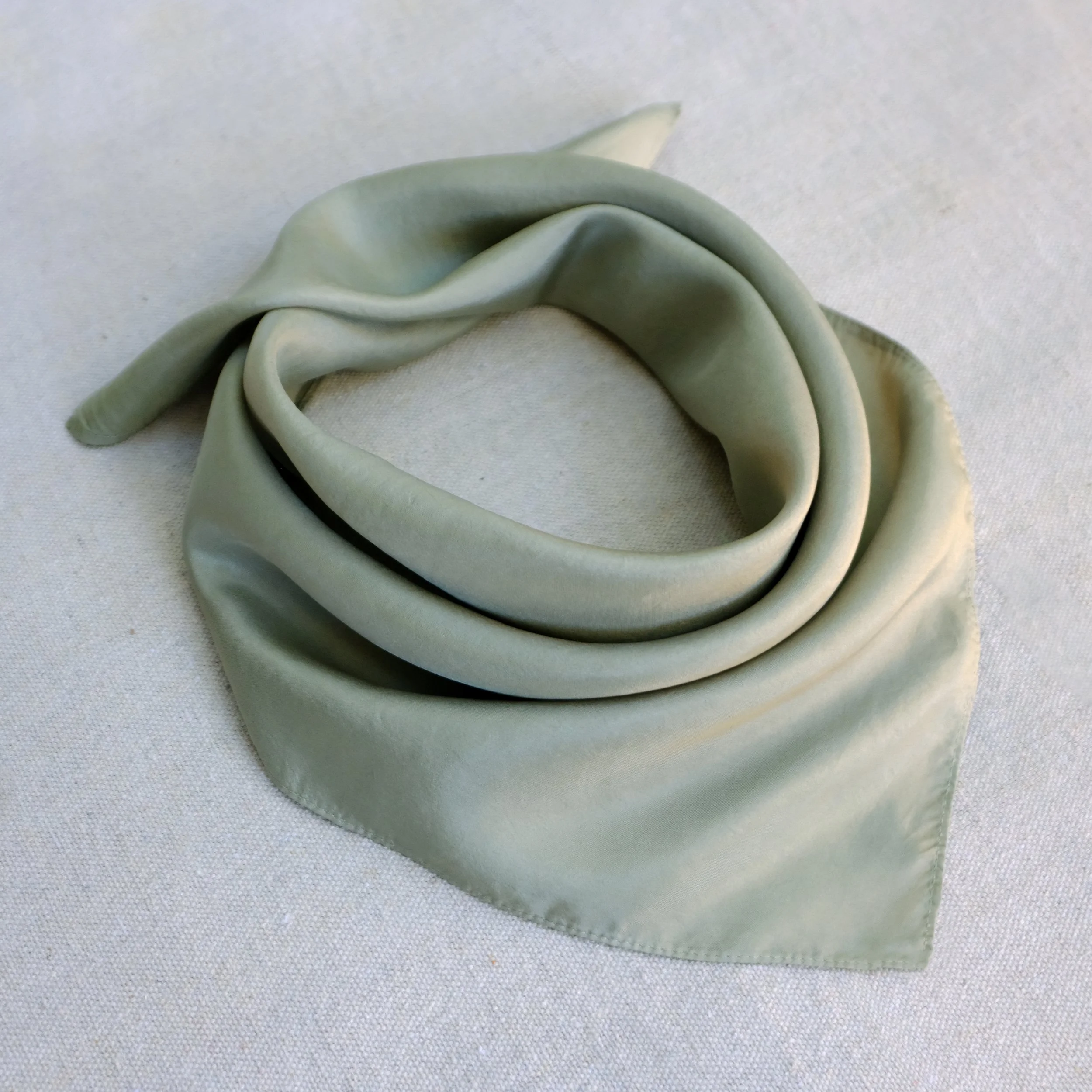 MushroomSilk.jpg