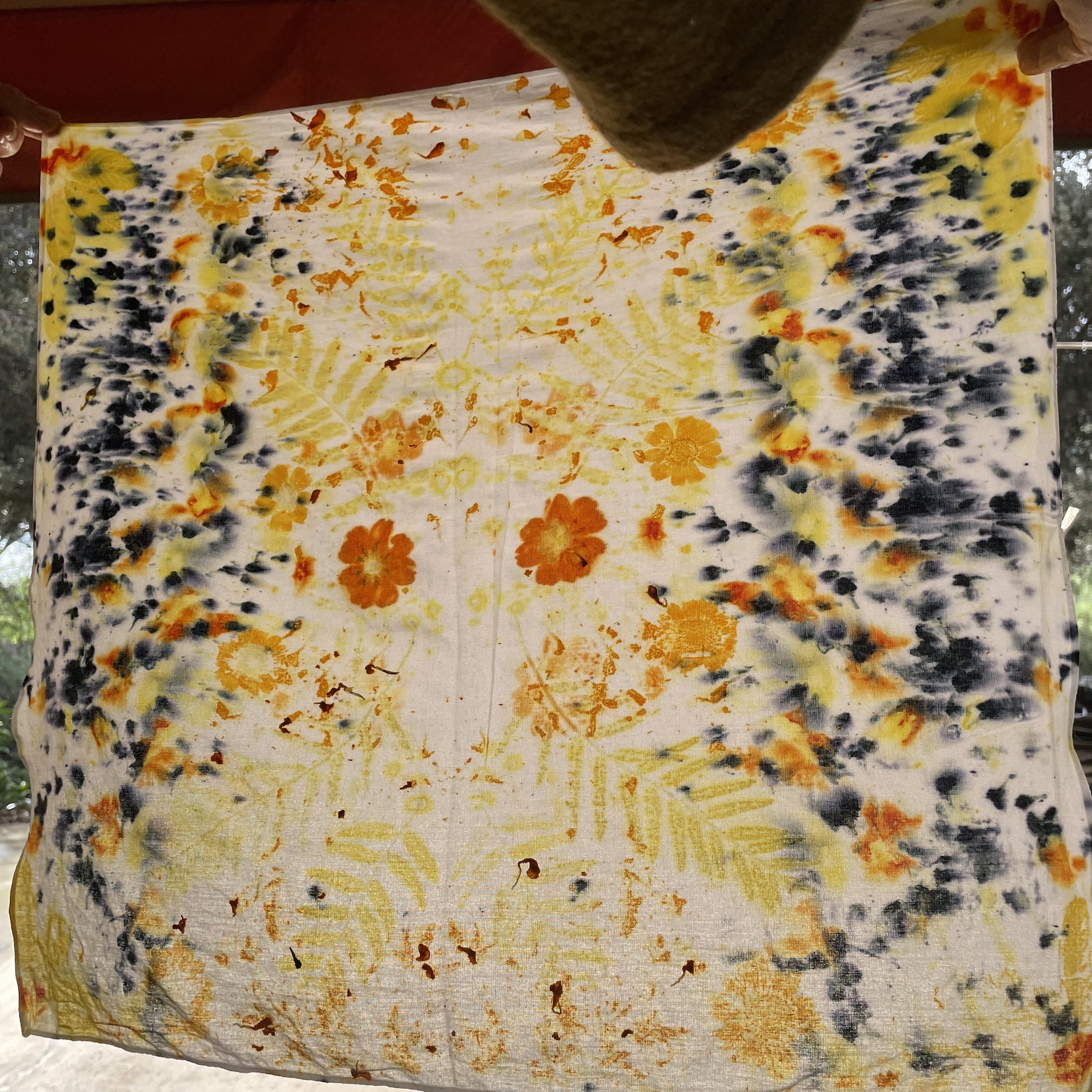 AGardenofColor7.jpg