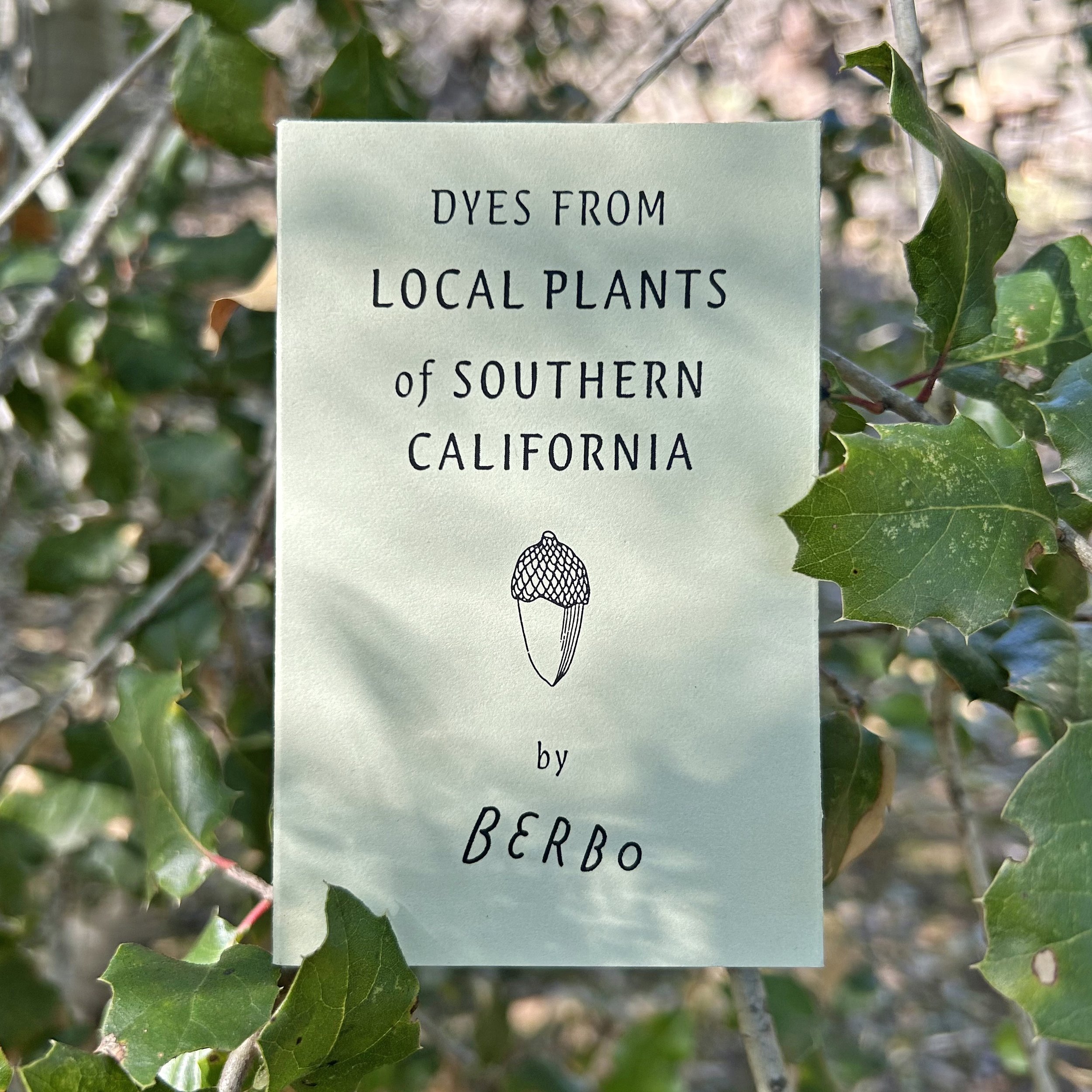 LocalPlants1.jpg