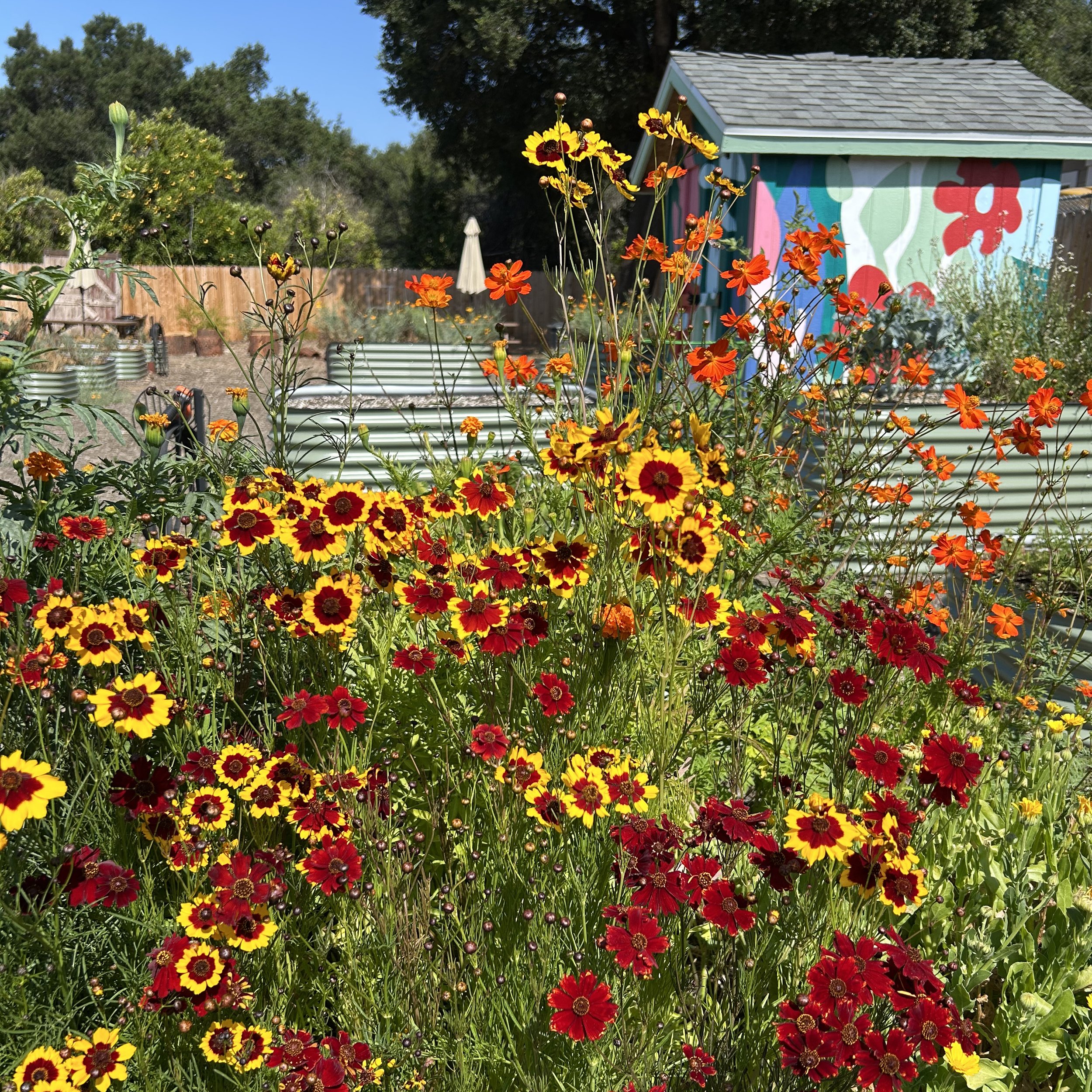 AGardenofColor1.jpg