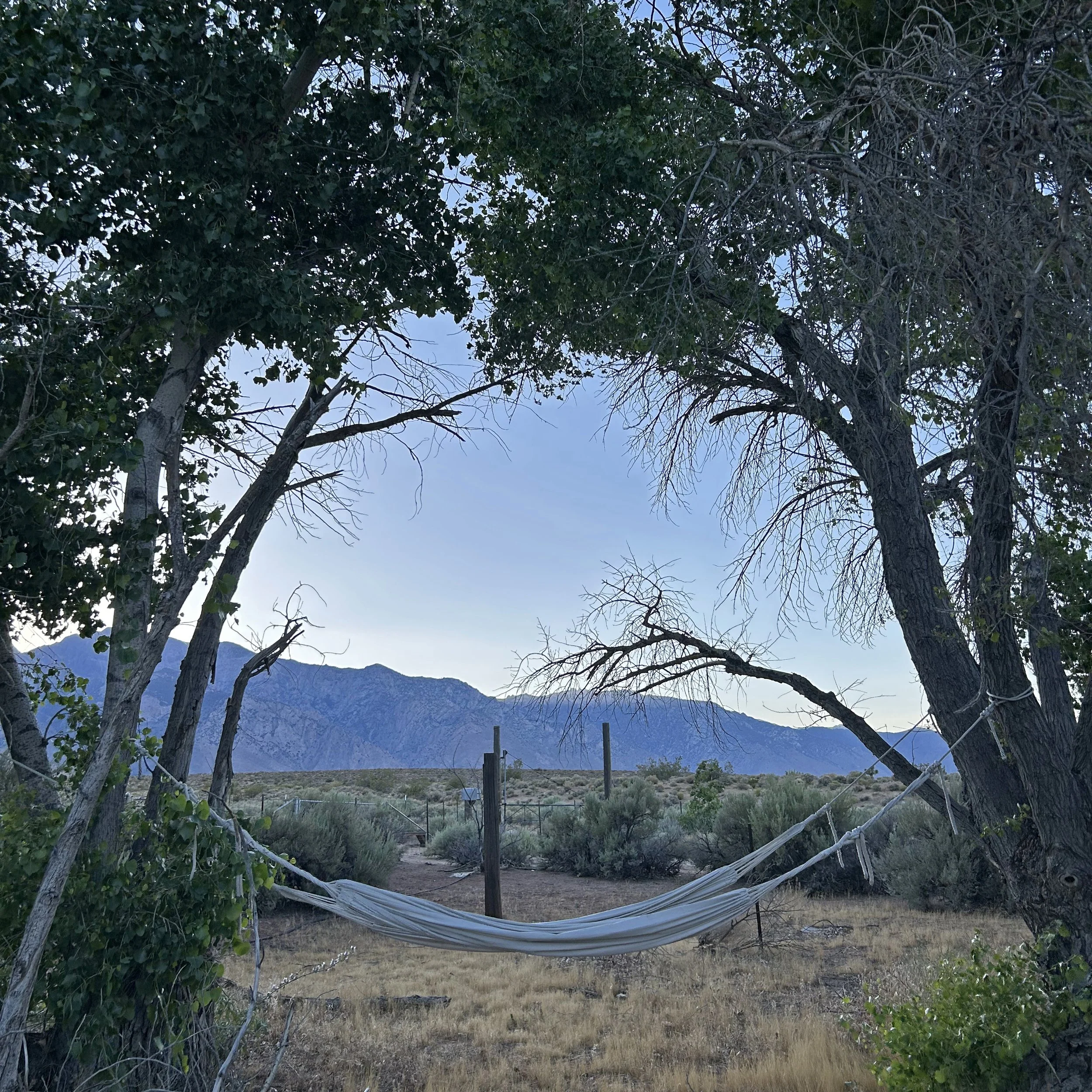 Homestead1SQ.jpg