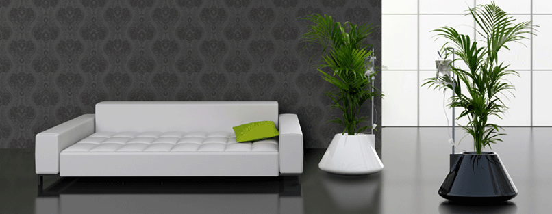 Decorators’ Plants for the Living Room