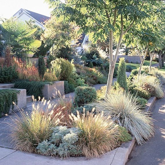 50 Modern Front Yard Designs And Ideas, Modern Small Front Yard Landscaping Ideas Australia