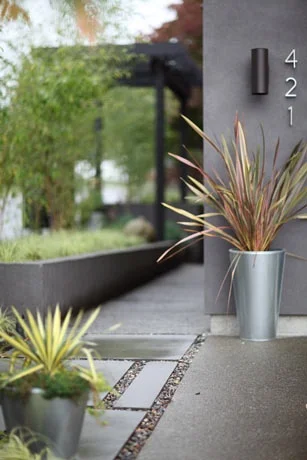 plantadores de plata modernos