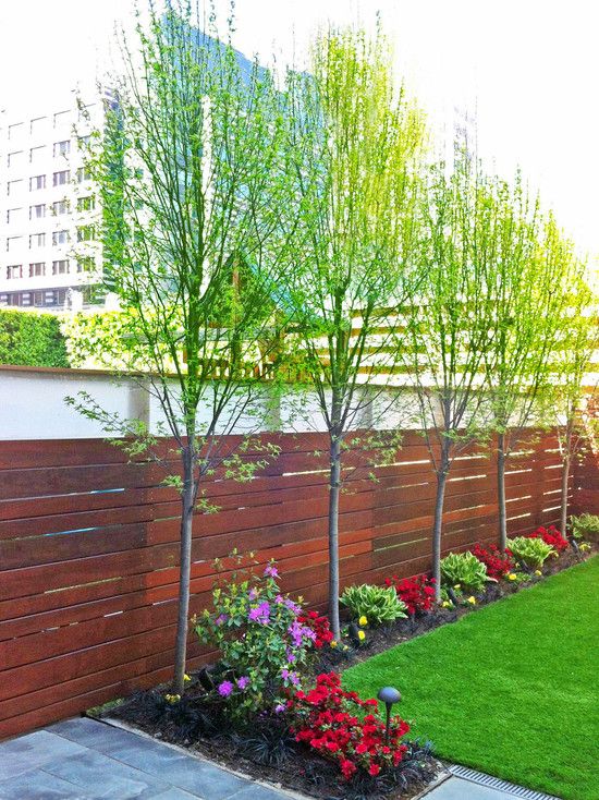 30 Small Backyard Ideas Renoguide, Small Trees For Landscaping Close To House